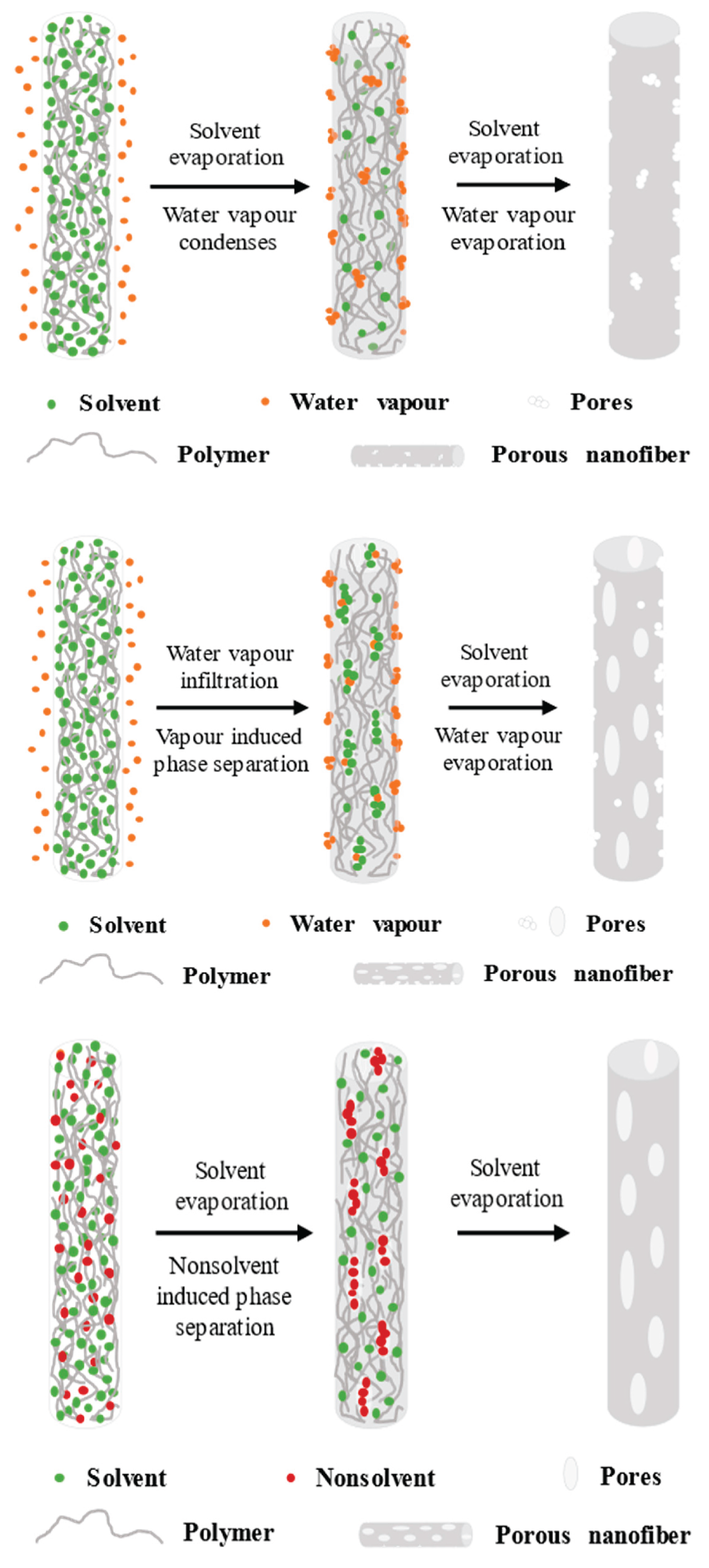 Preprints 202567 g004