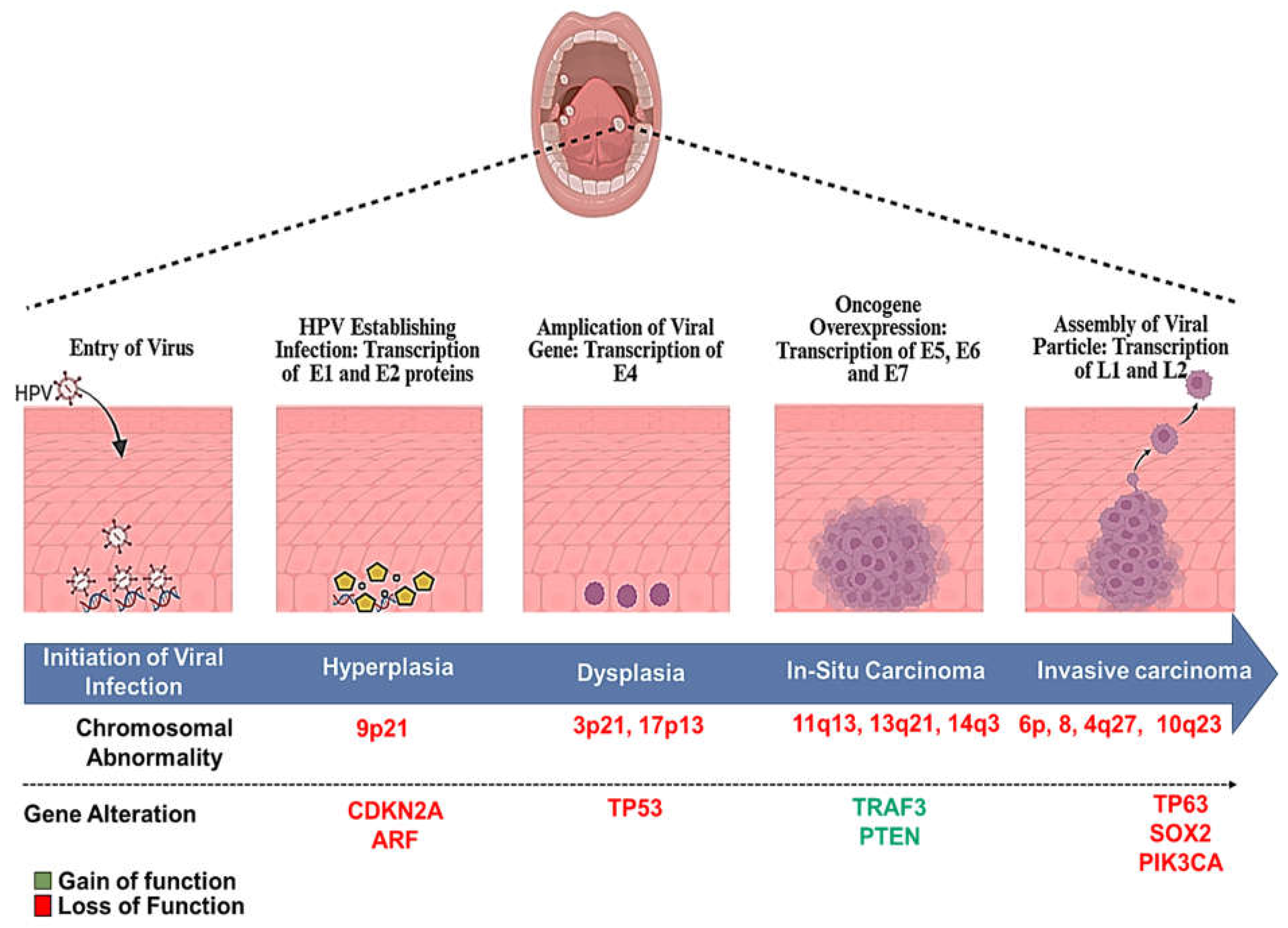 Preprints 144665 g004