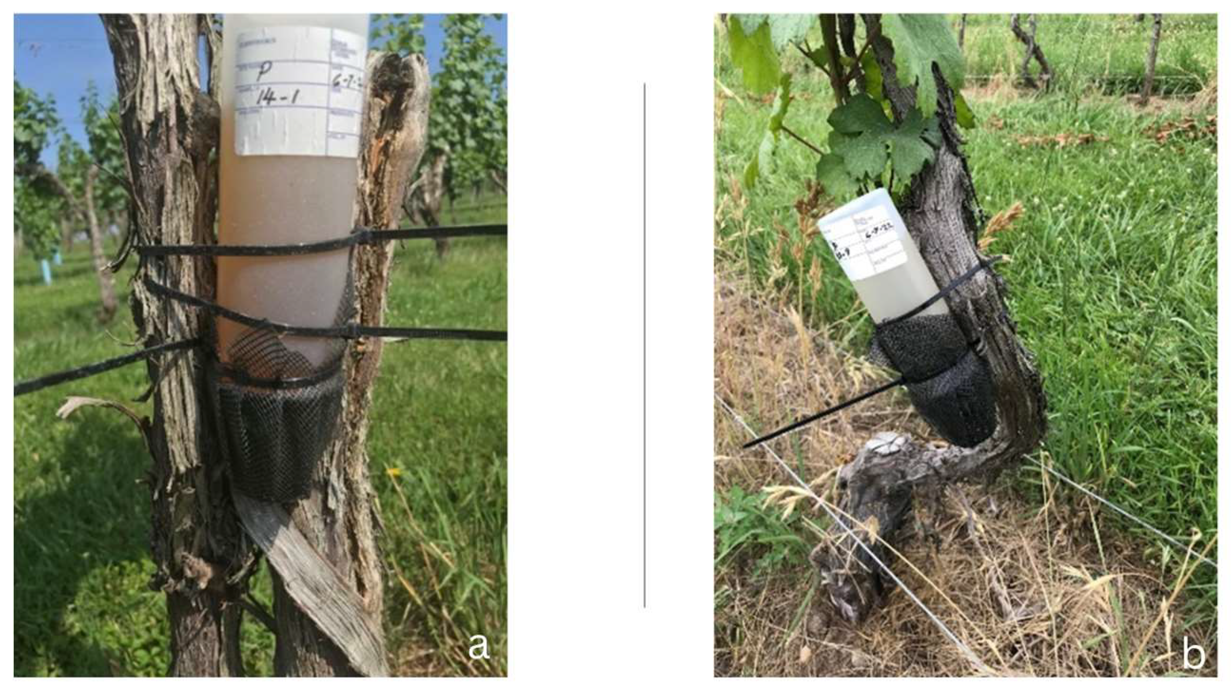 Preprints 149957 g001