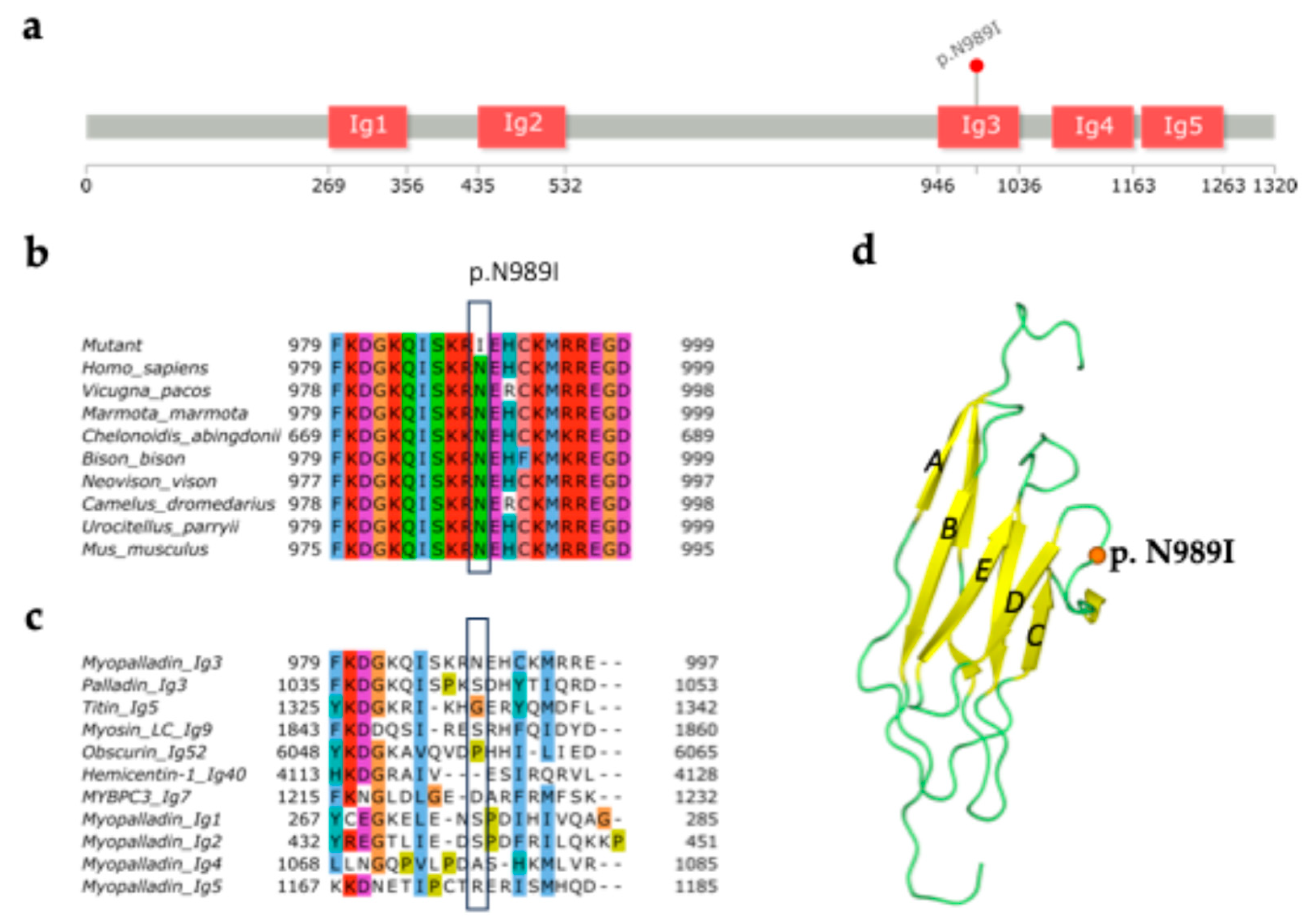 Preprints 190529 g001
