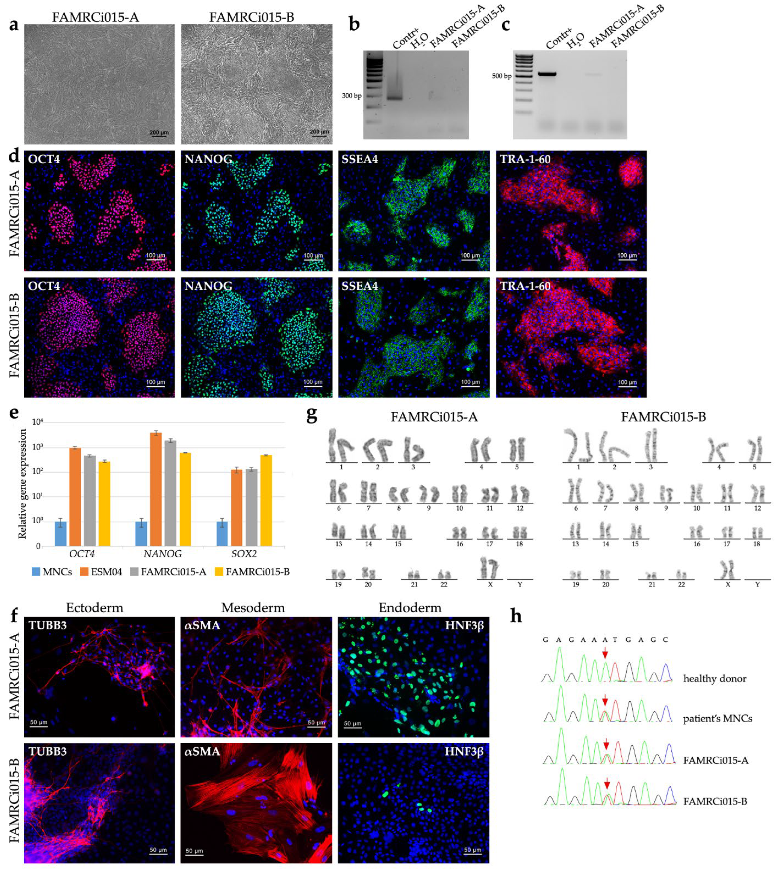 Preprints 190529 g002