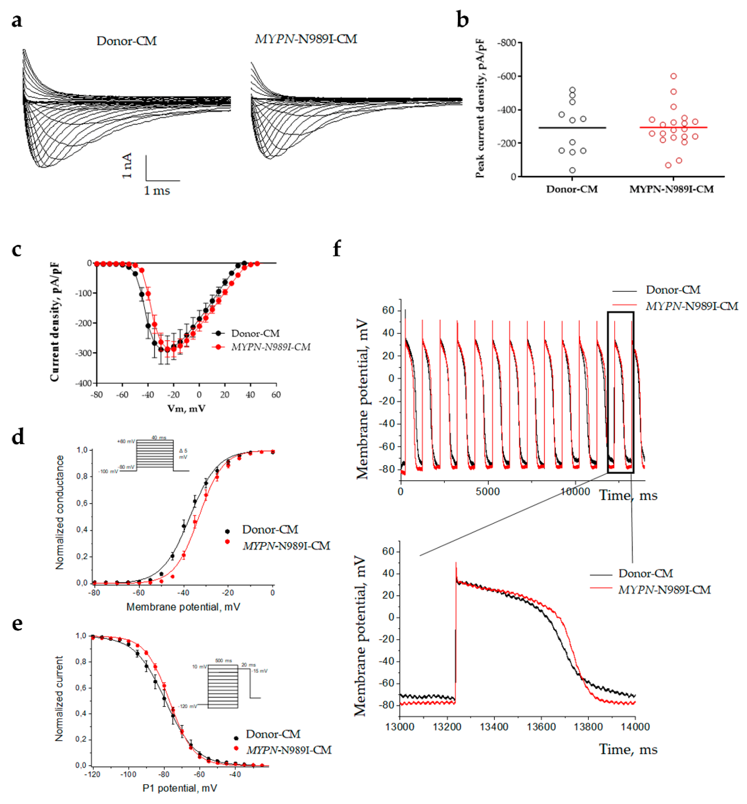 Preprints 190529 g004