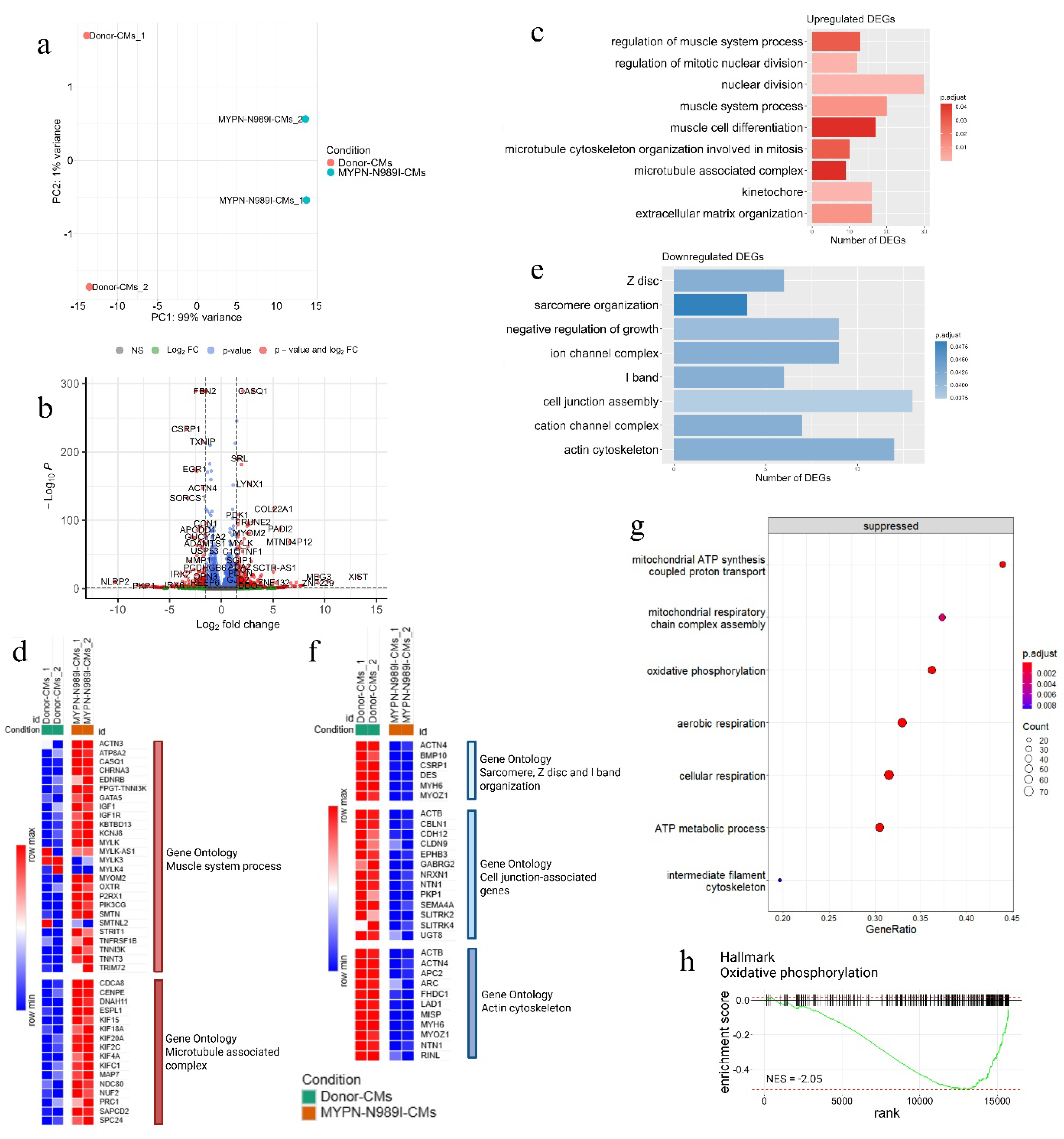 Preprints 190529 g005