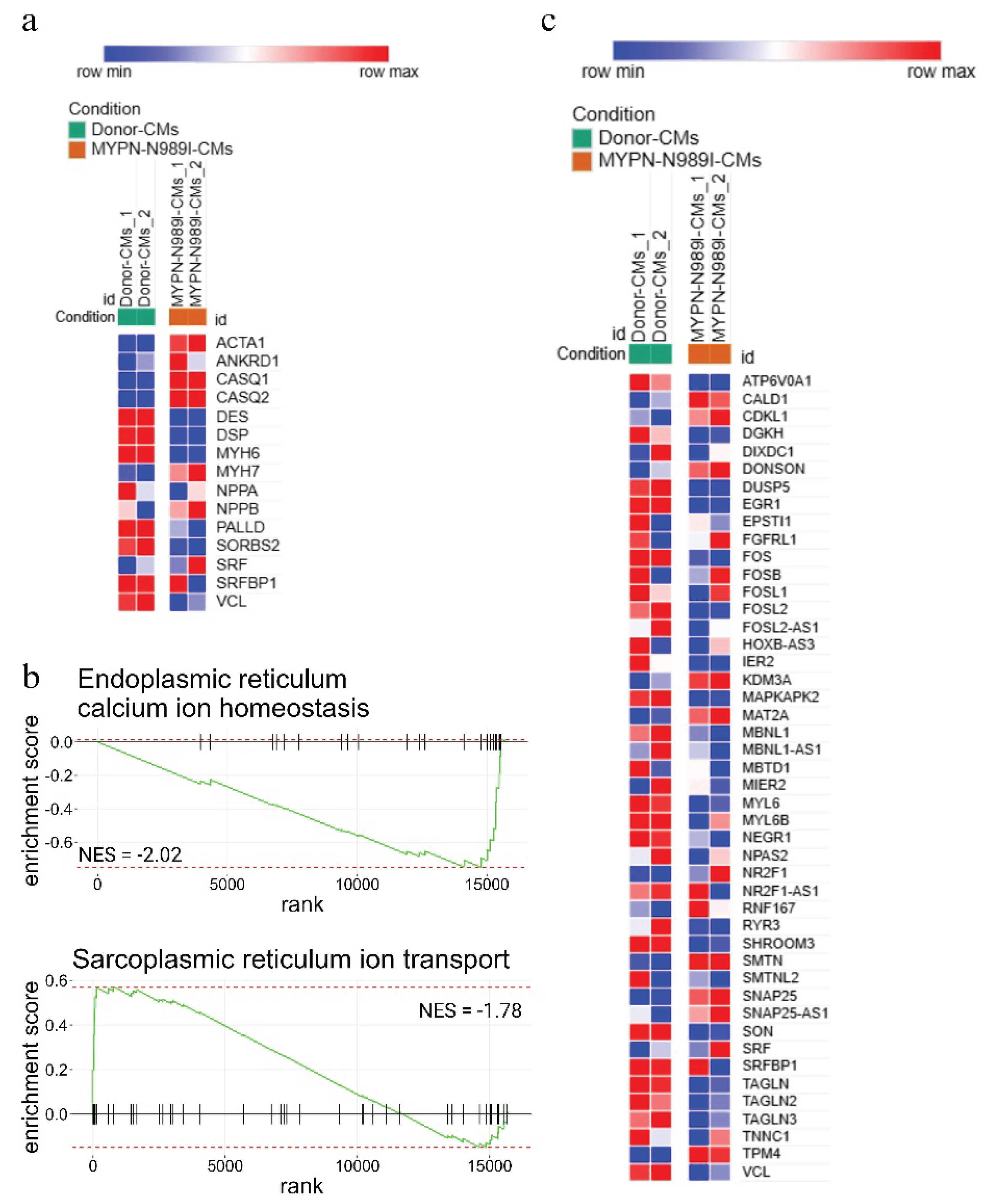 Preprints 190529 g006