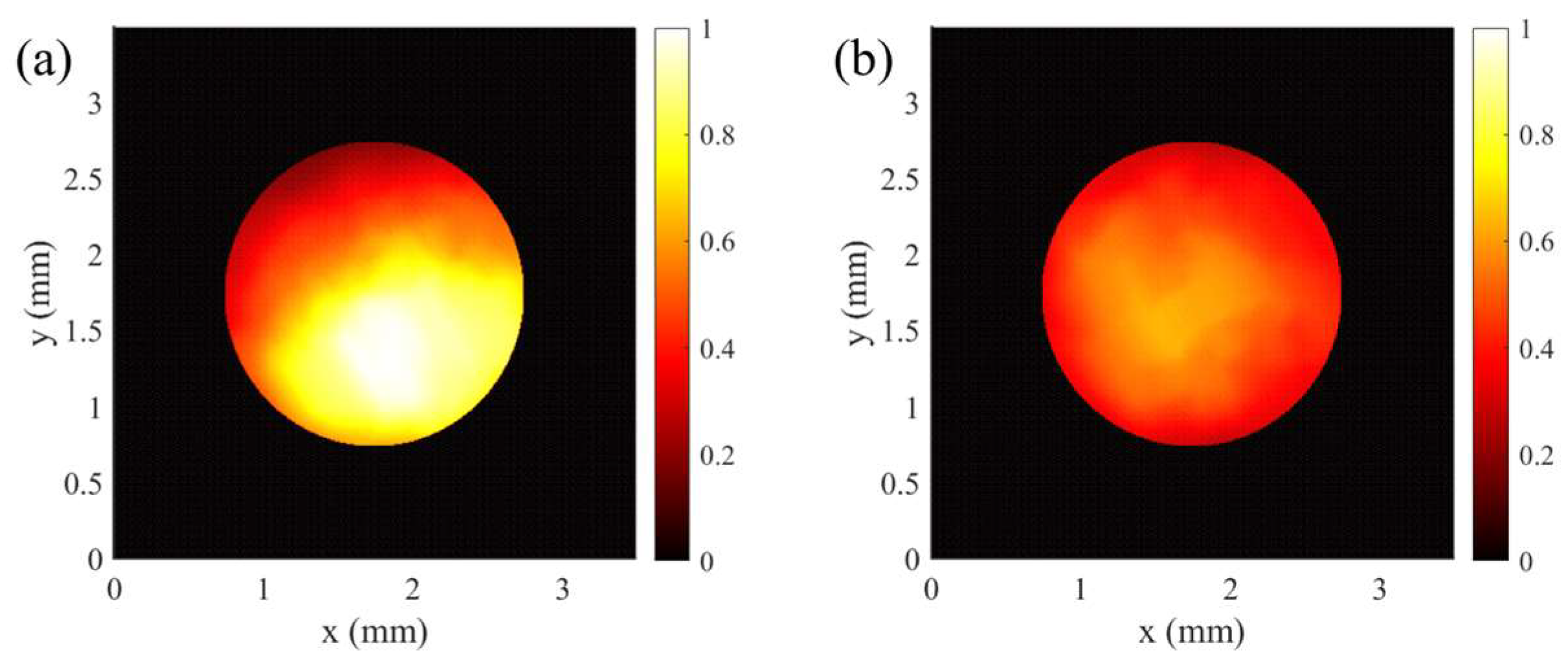 Preprints 138246 g009