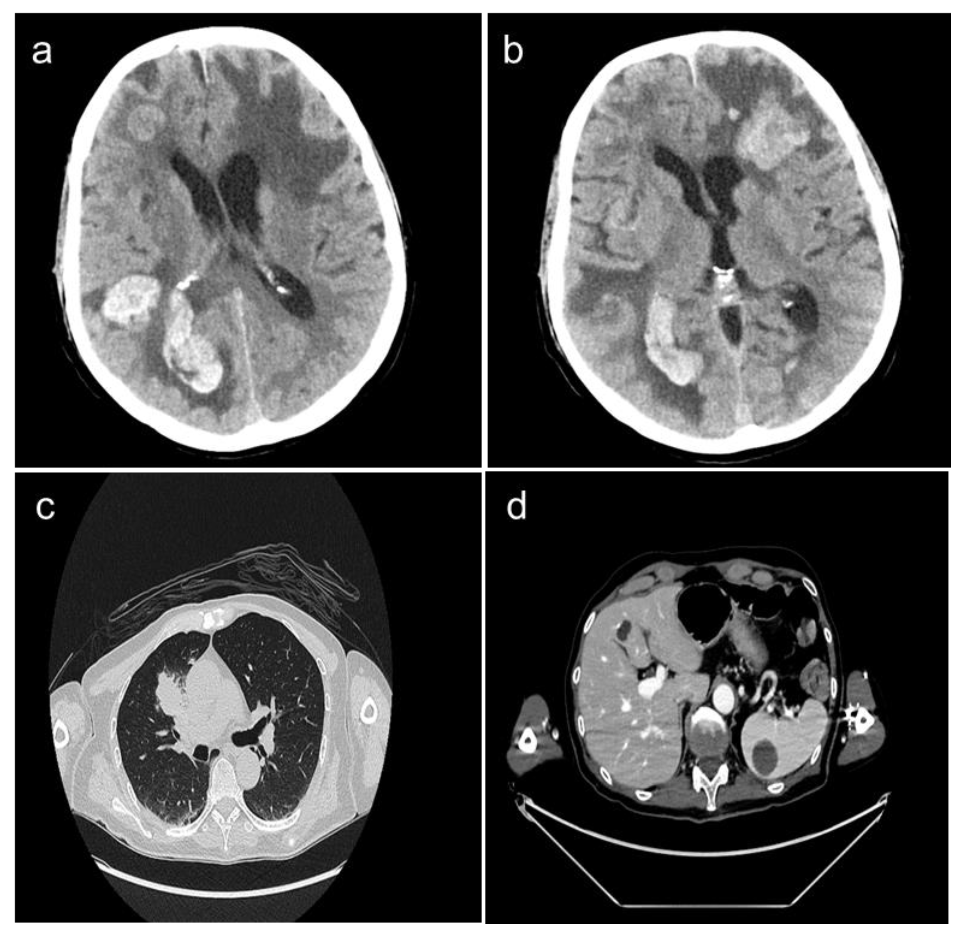 Preprints 75879 g001