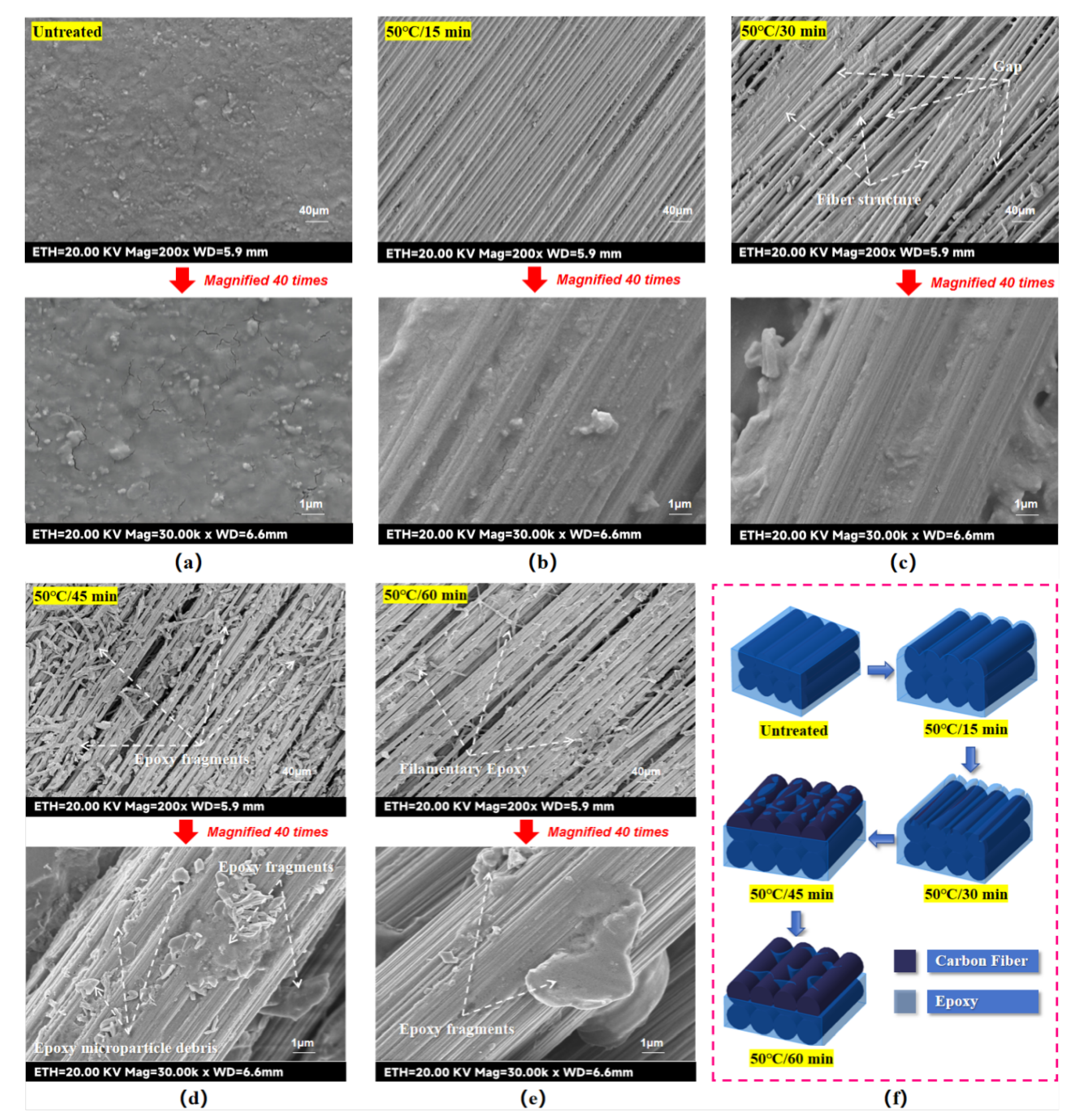 Preprints 157079 g006