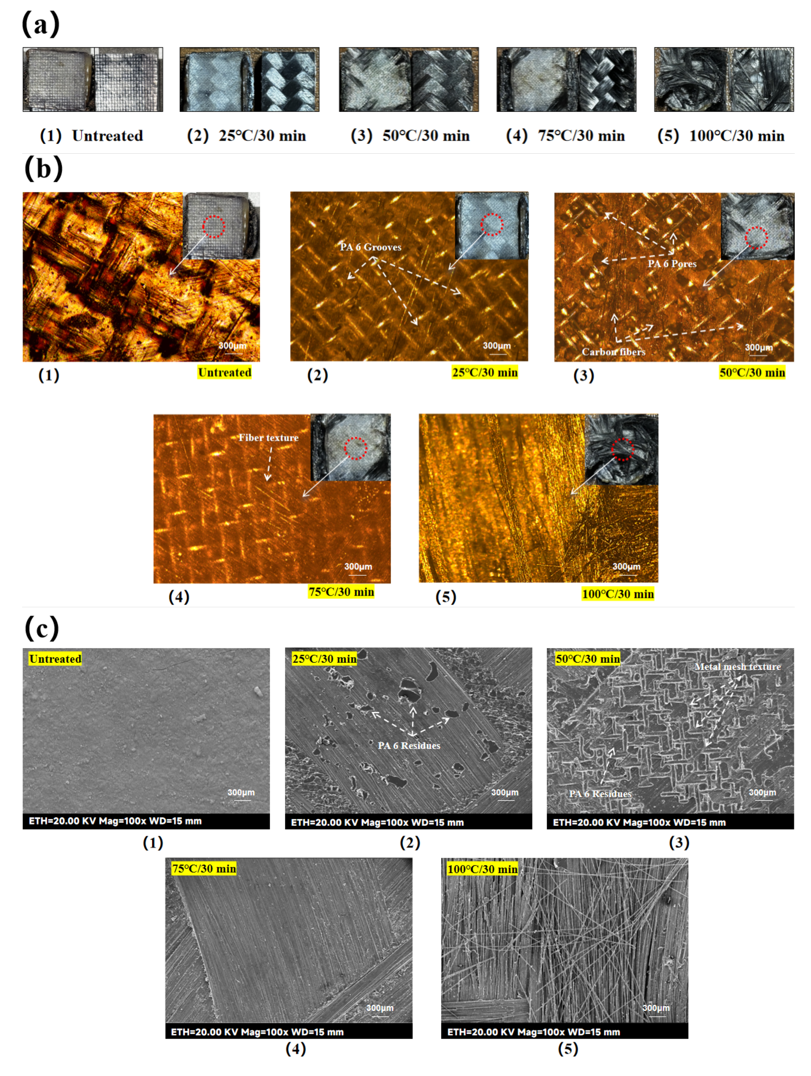 Preprints 157079 g012