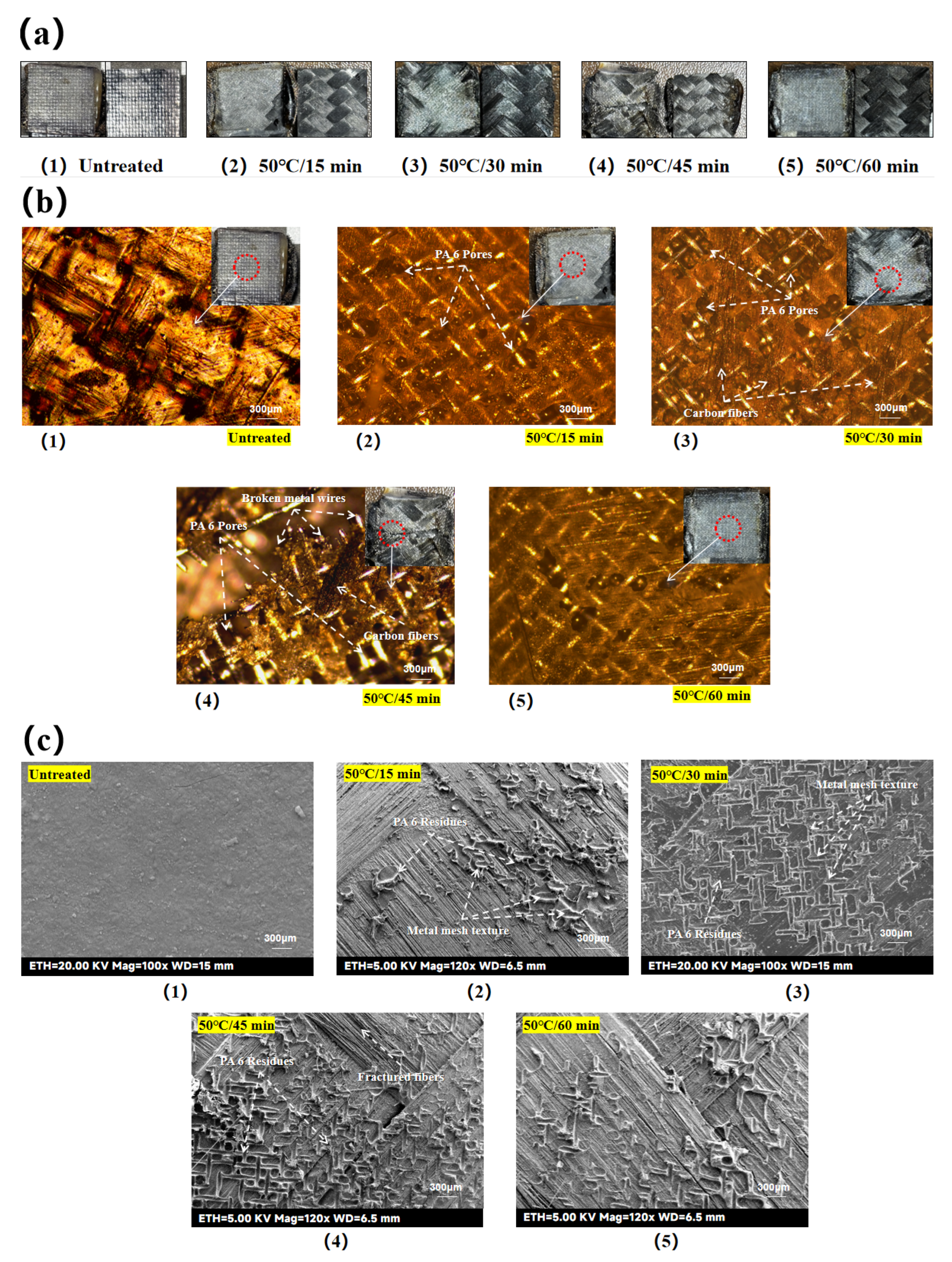 Preprints 157079 g013