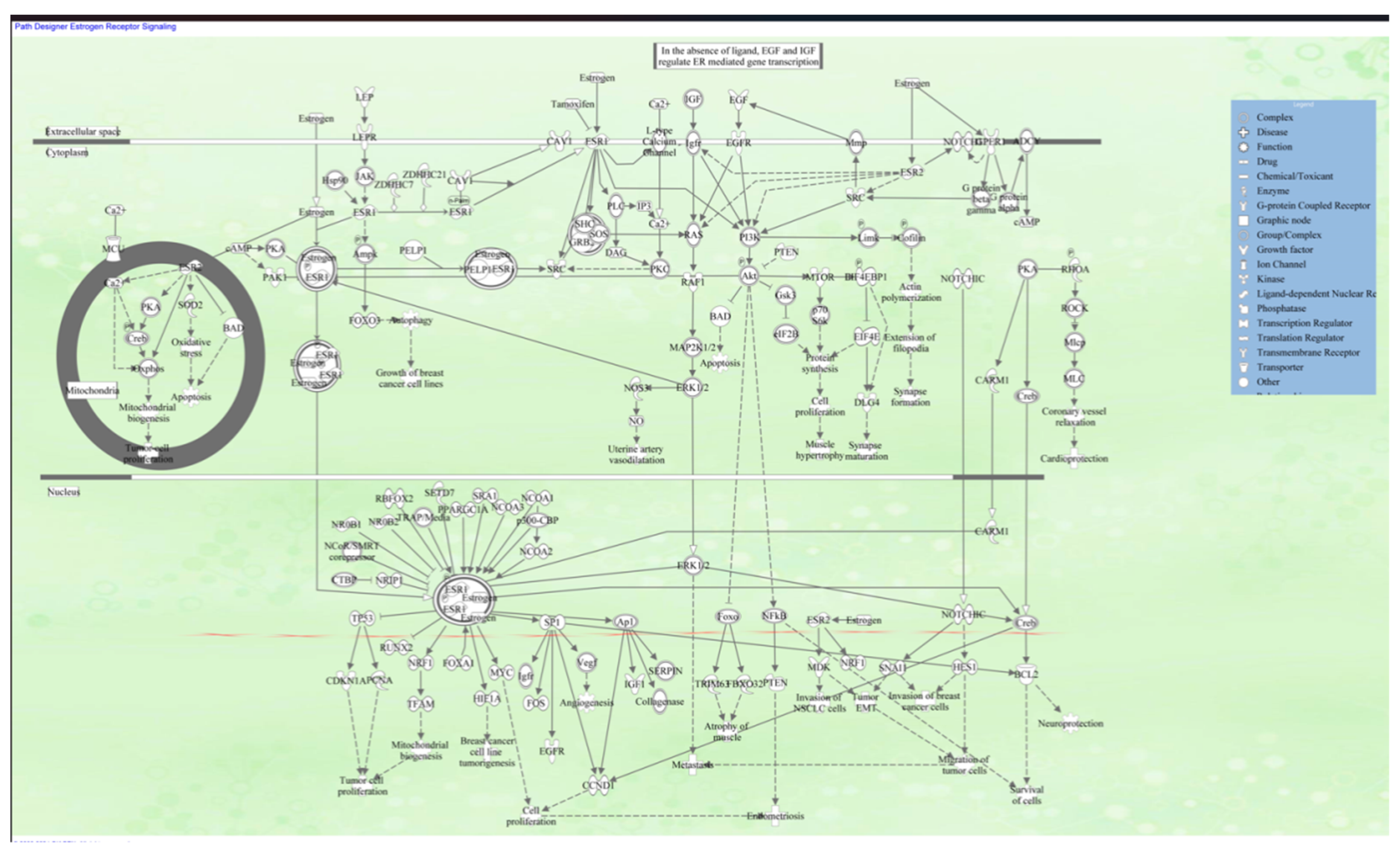 Preprints 185345 g001