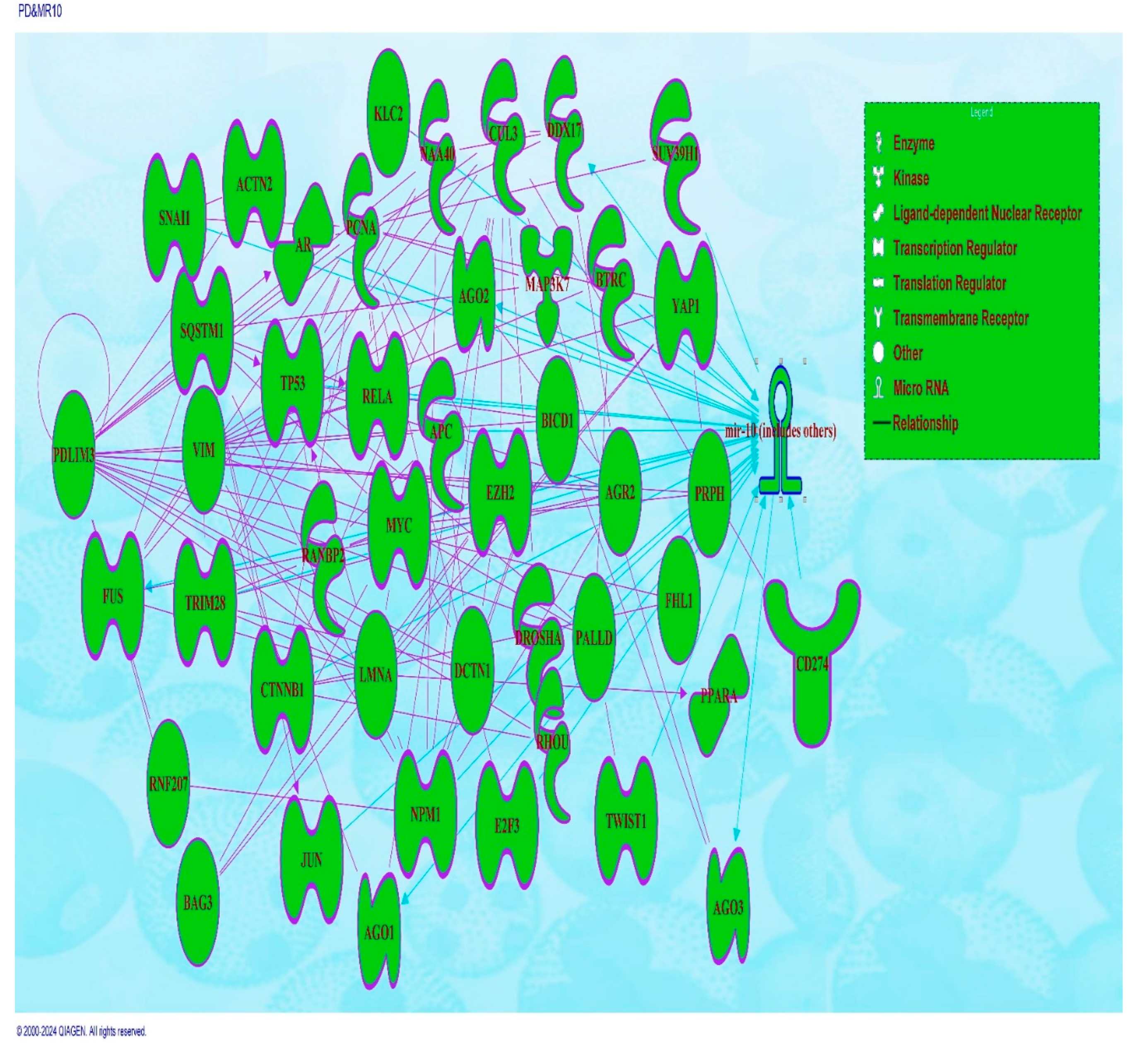 Preprints 185345 g008