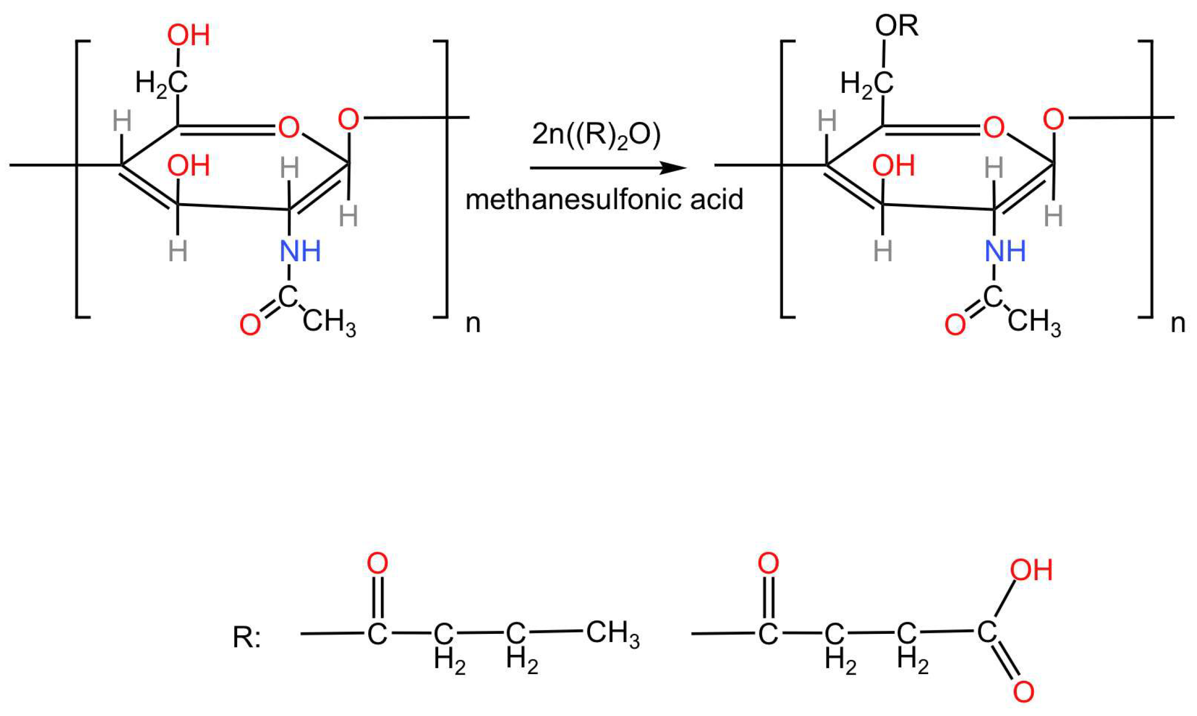 Preprints 142529 g001