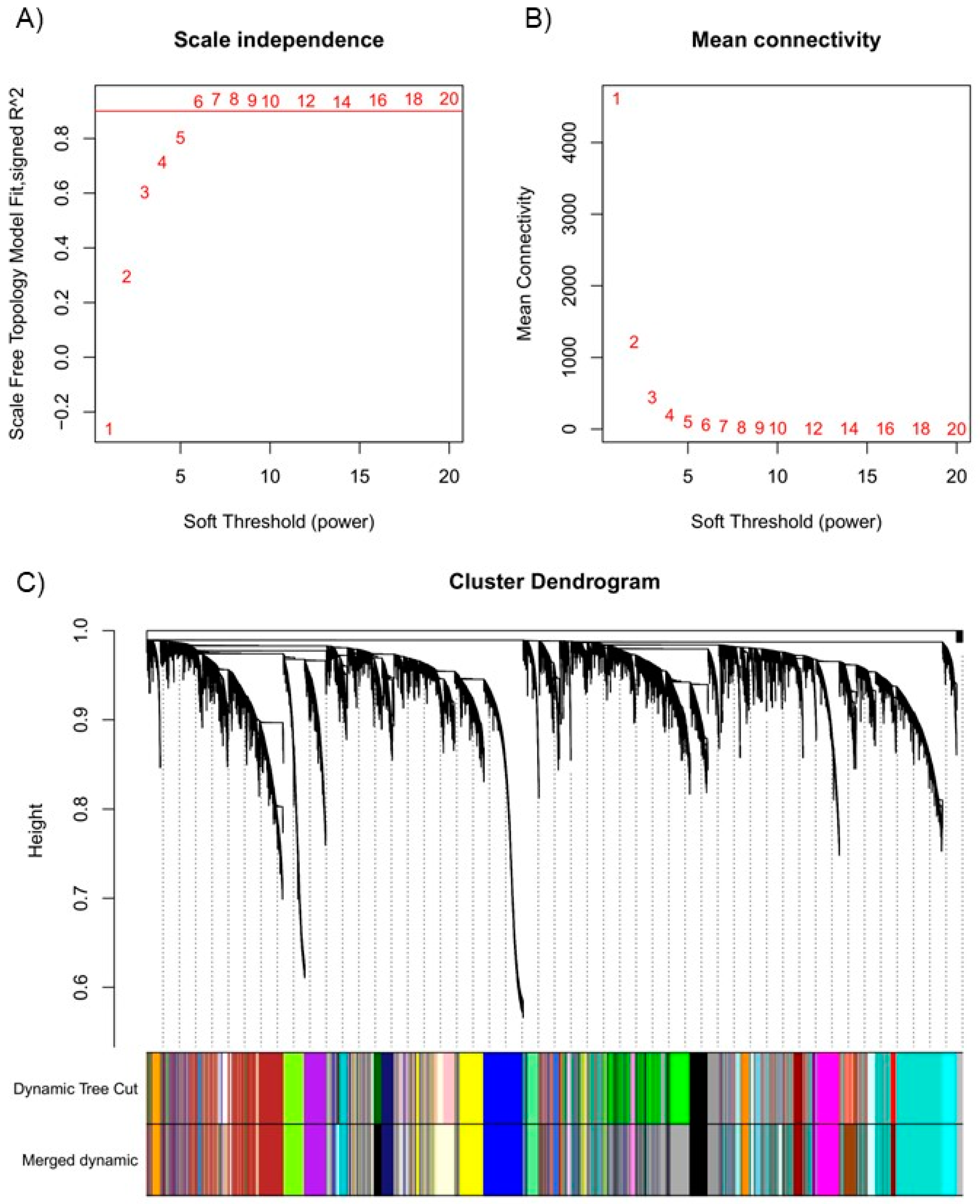 Preprints 145121 g003