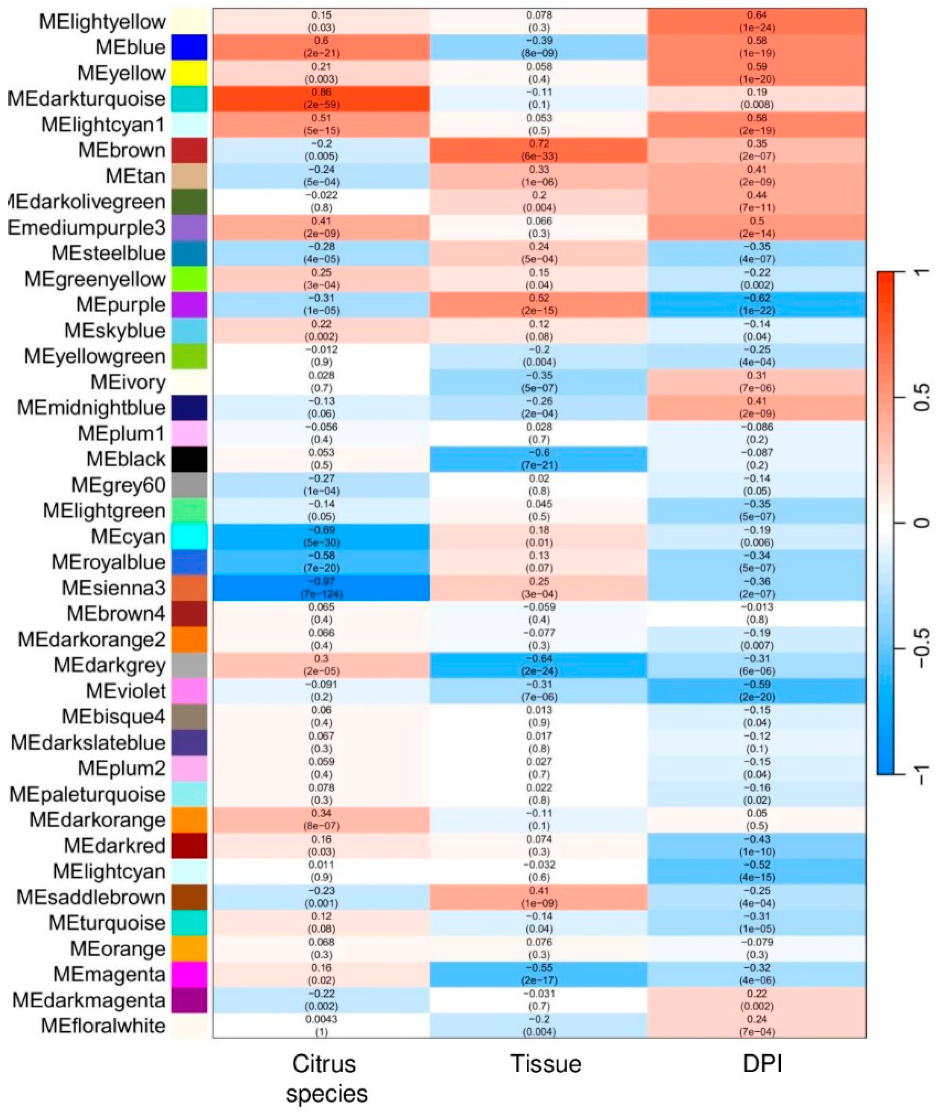 Preprints 145121 g004