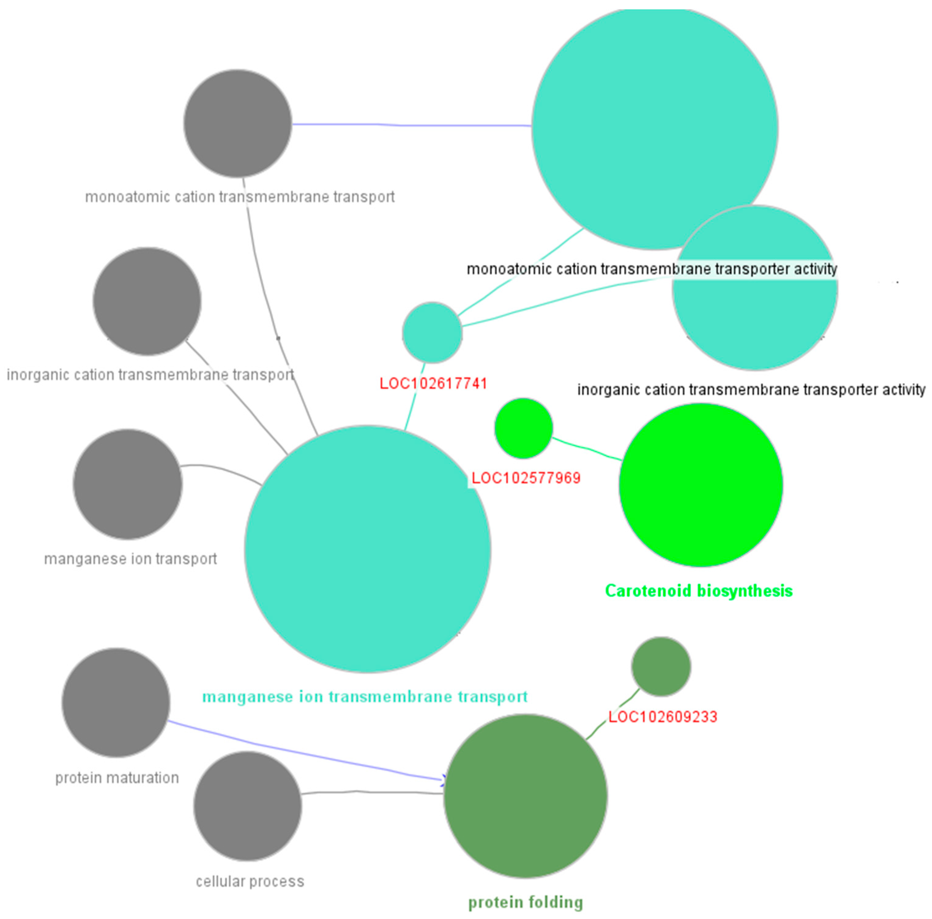 Preprints 145121 g005