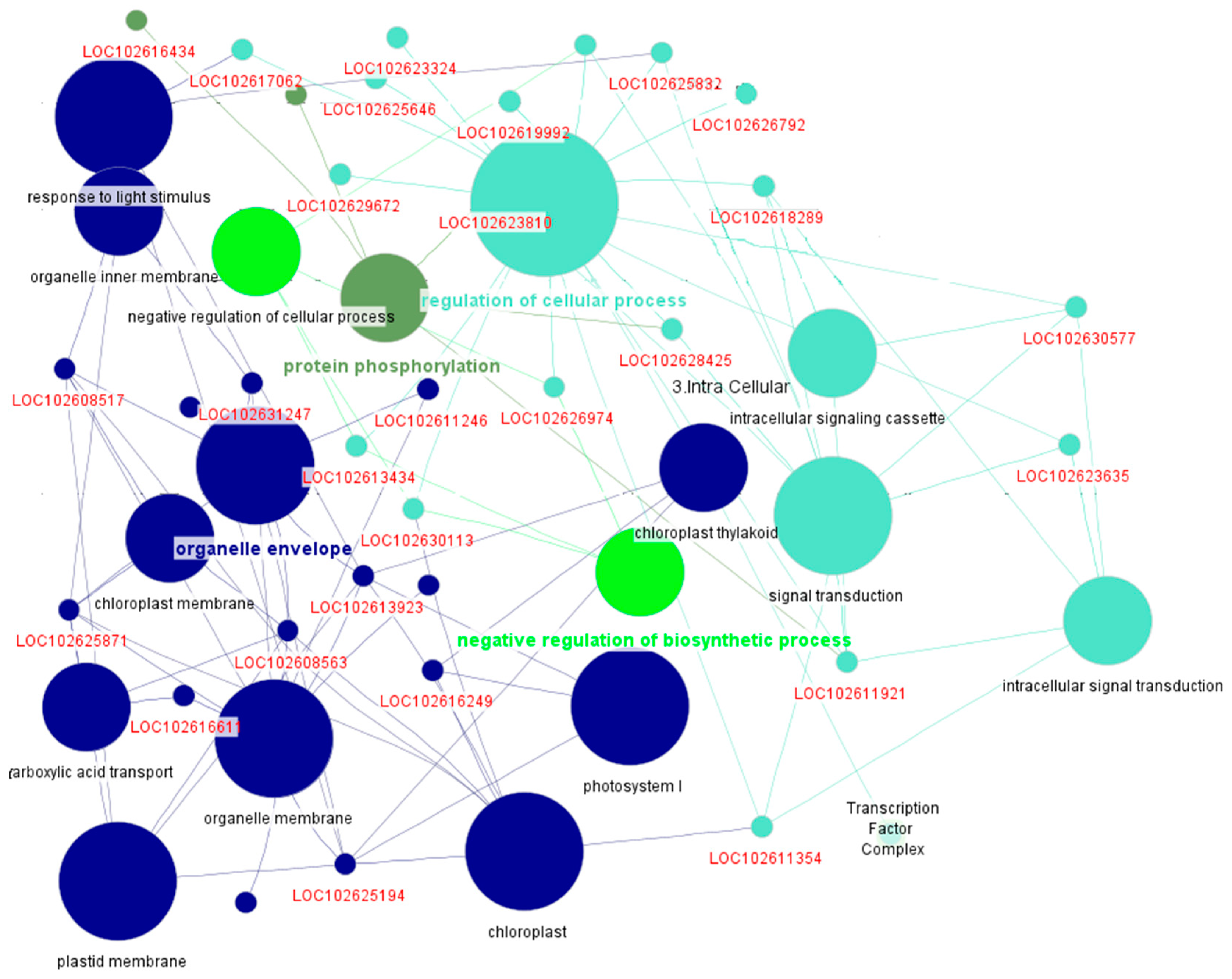 Preprints 145121 g006