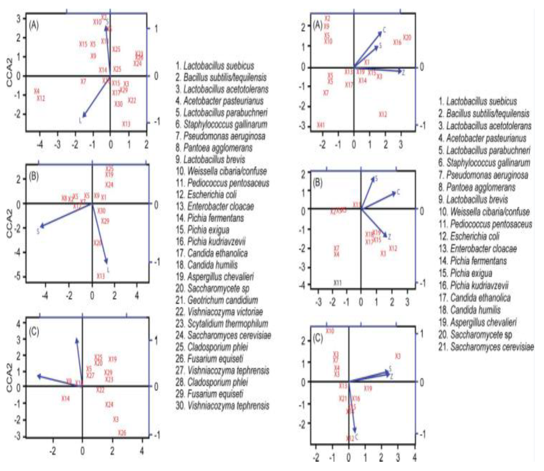 Preprints 168022 g006