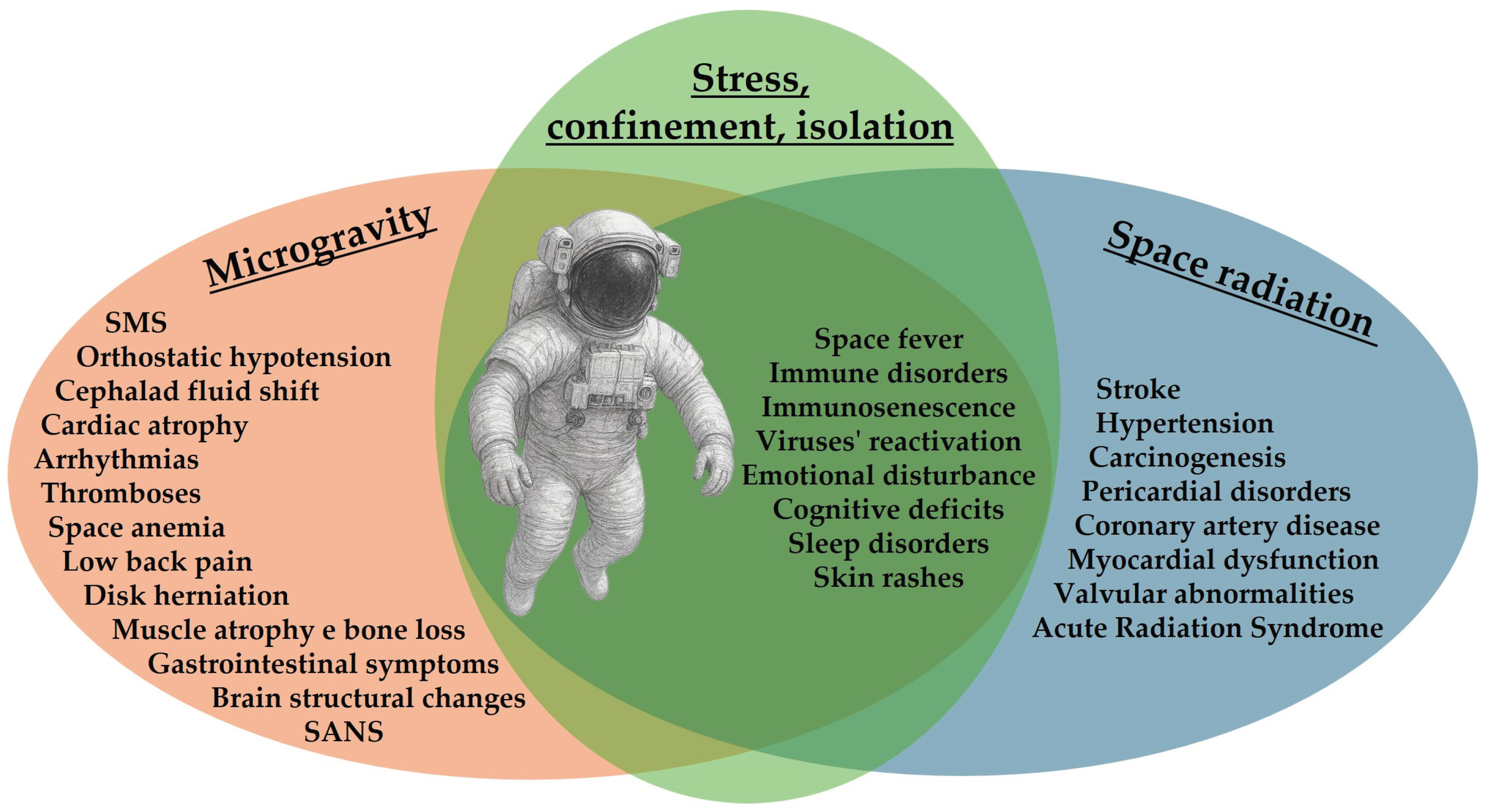 Preprints 185011 g001