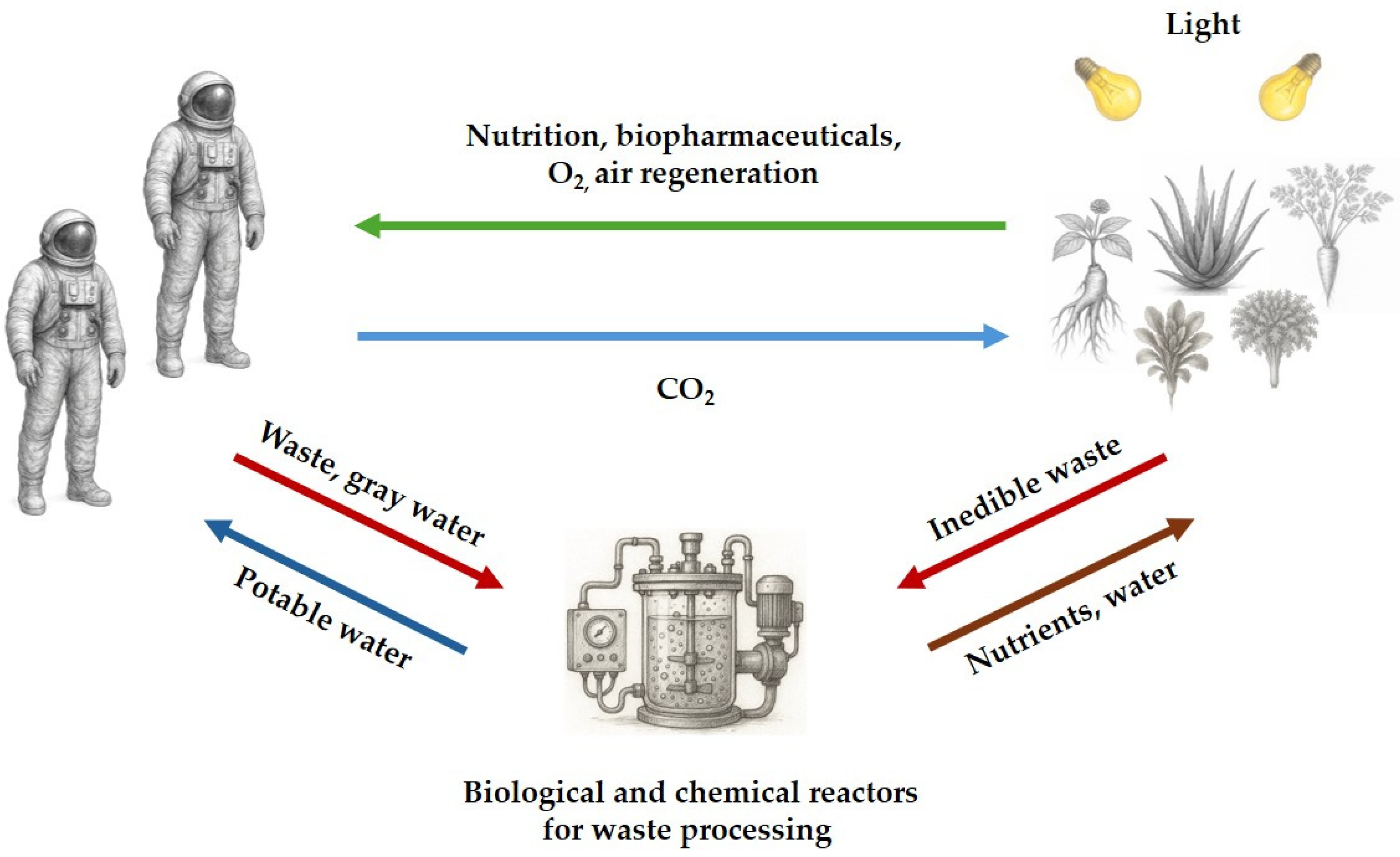 Preprints 185011 g004