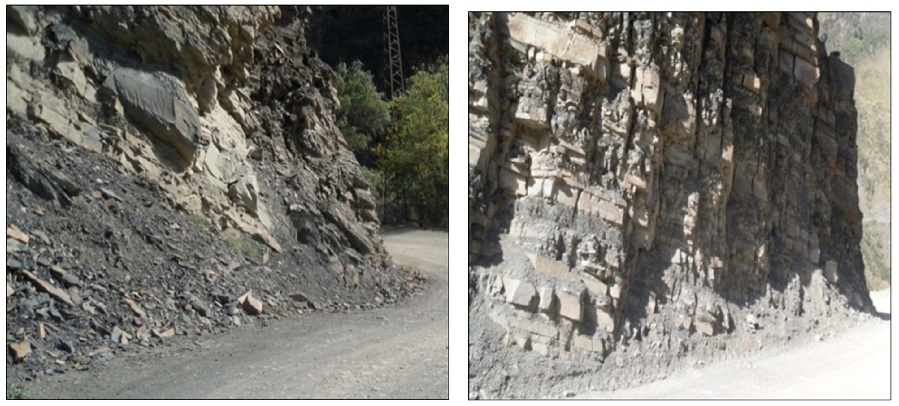 Preprints 141715 g008