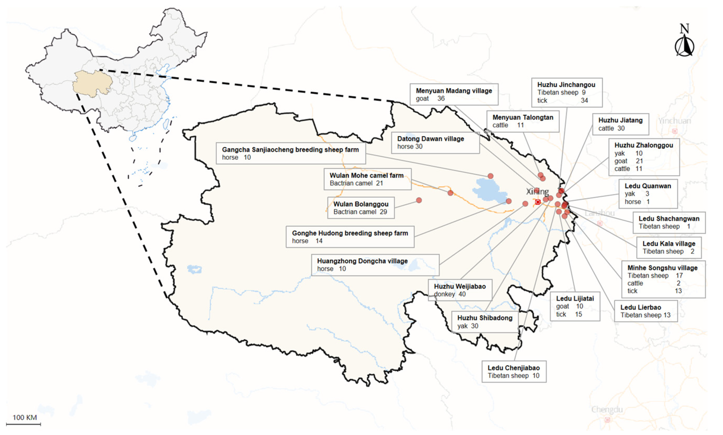 Preprints 93636 g001