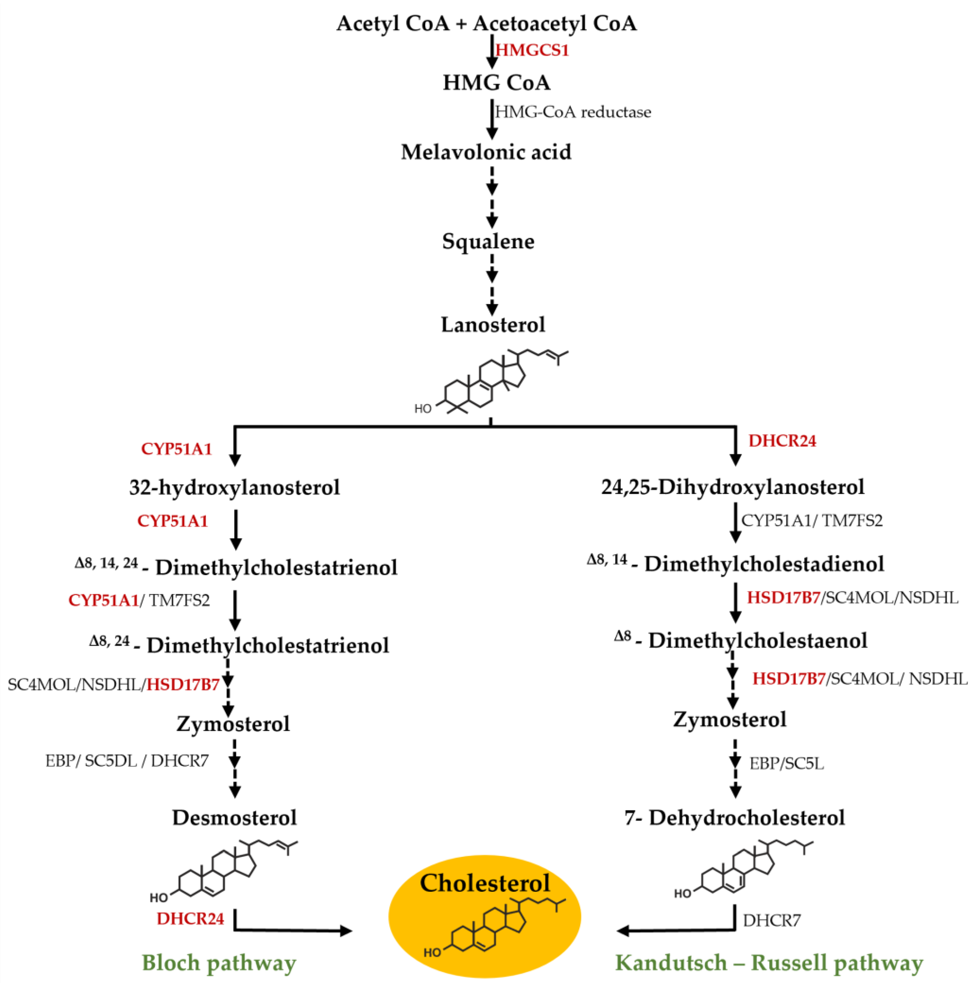 Preprints 75281 g005