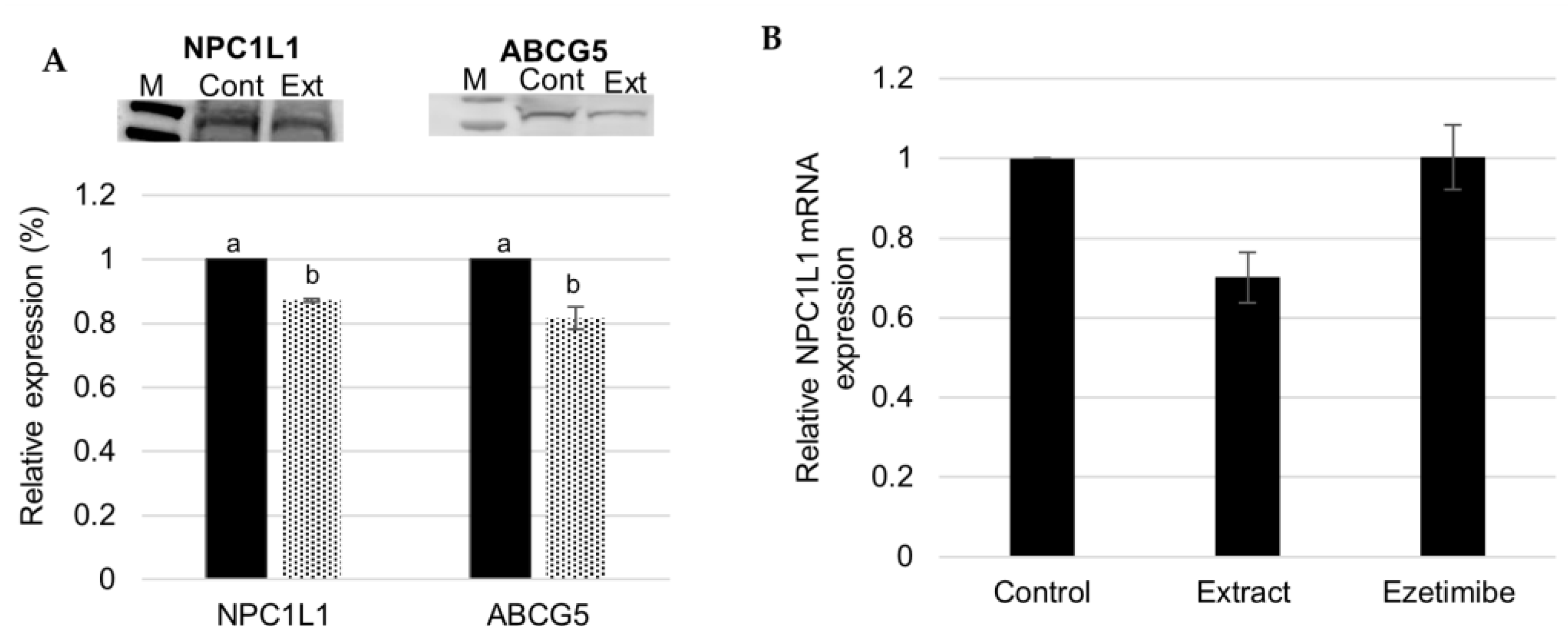 Preprints 75281 g006