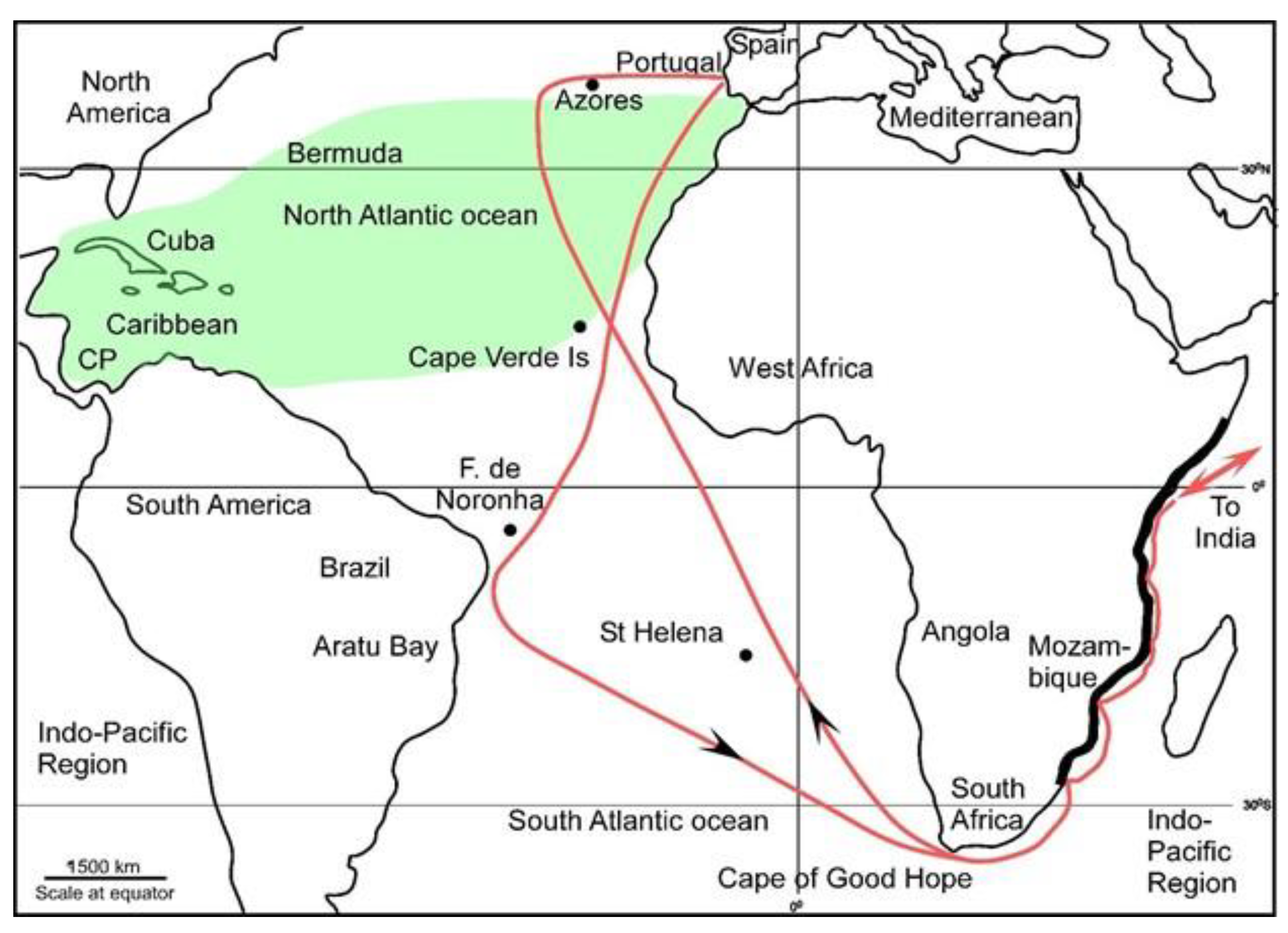 Preprints 145382 g003