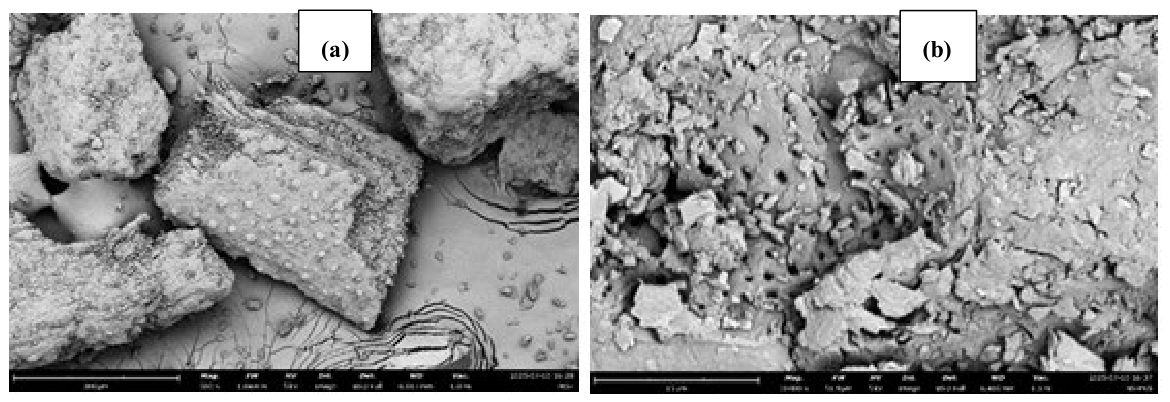 Preprints 236124 g005