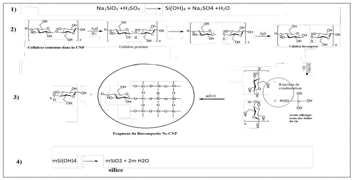 Preprints 236124 g006