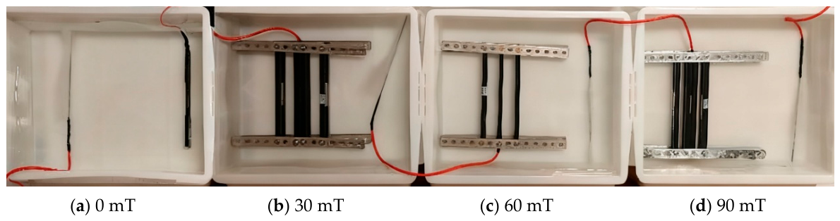 Preprints 226476 g002 Preprints 226476 g002
