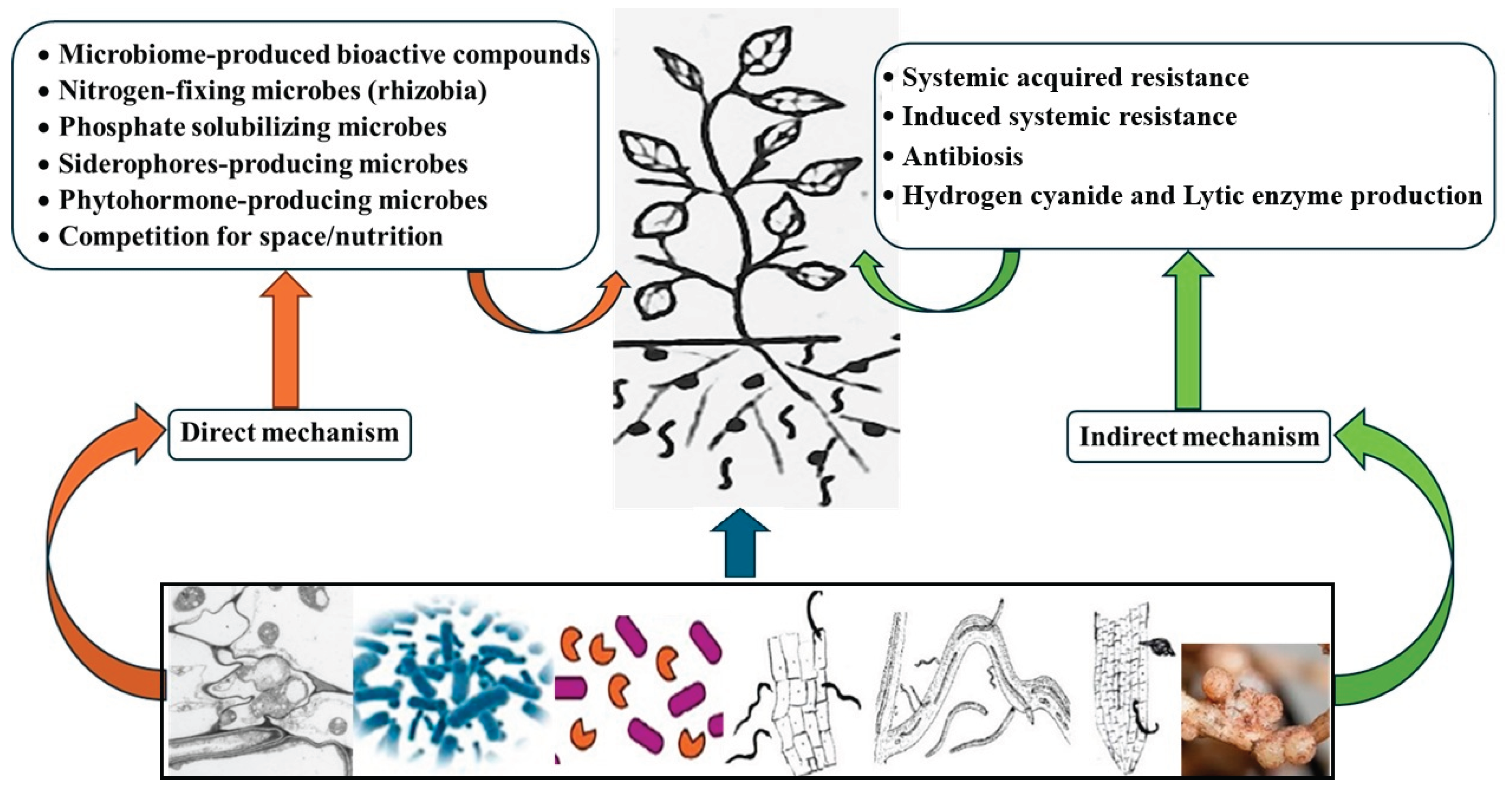 Preprints 178793 g001