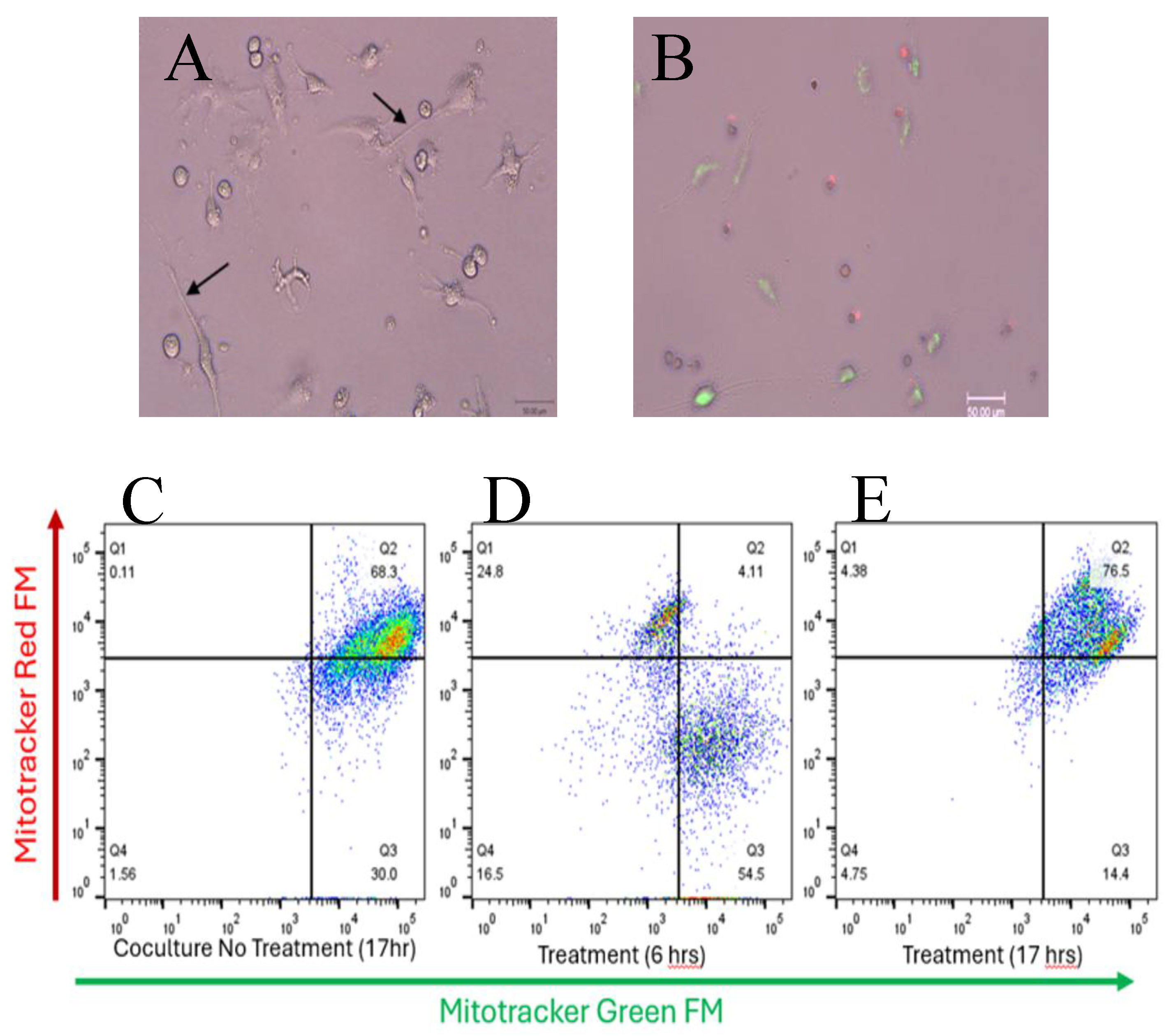 Preprints 192675 g006
