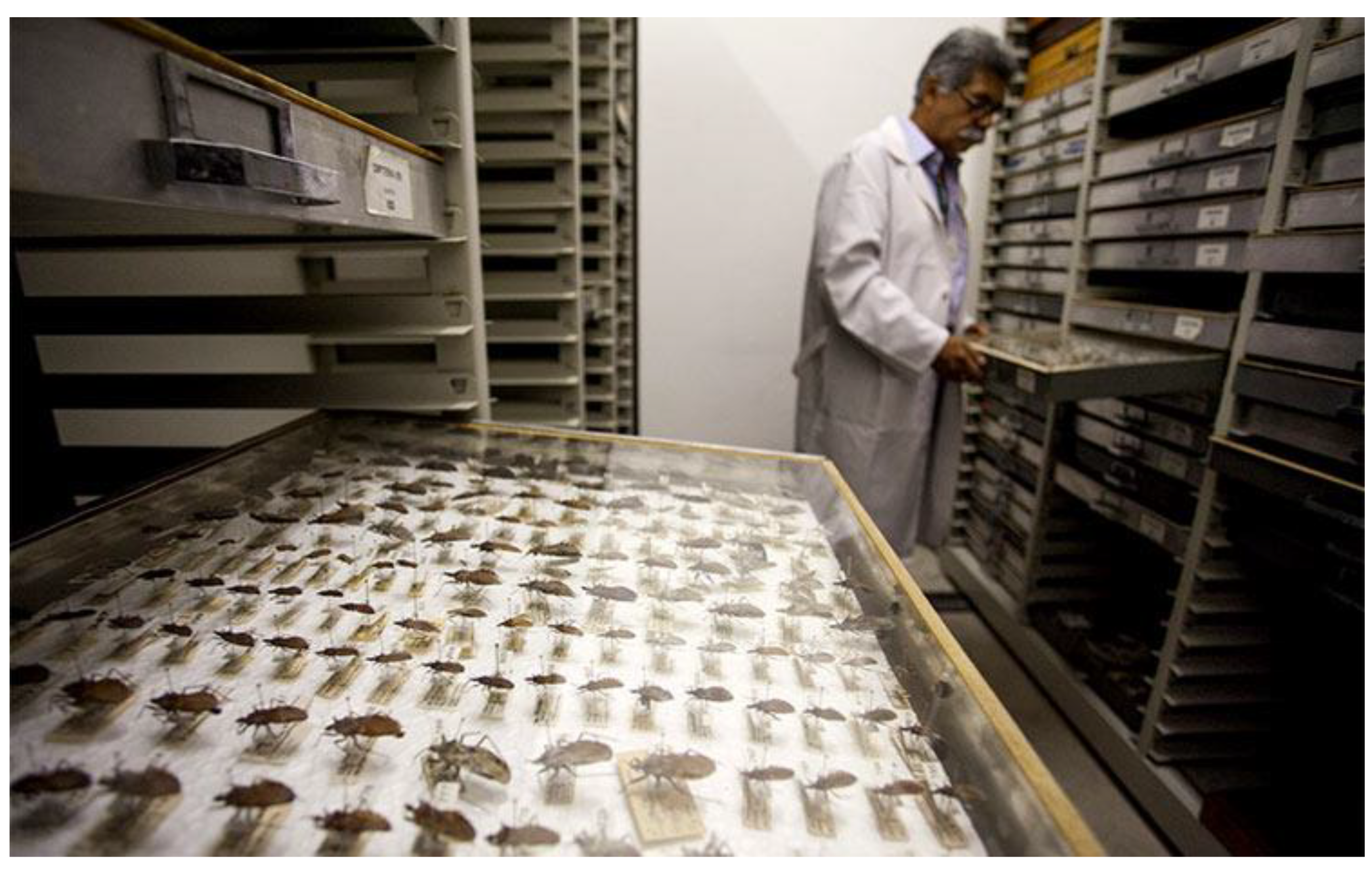 Preprints 137757 g001