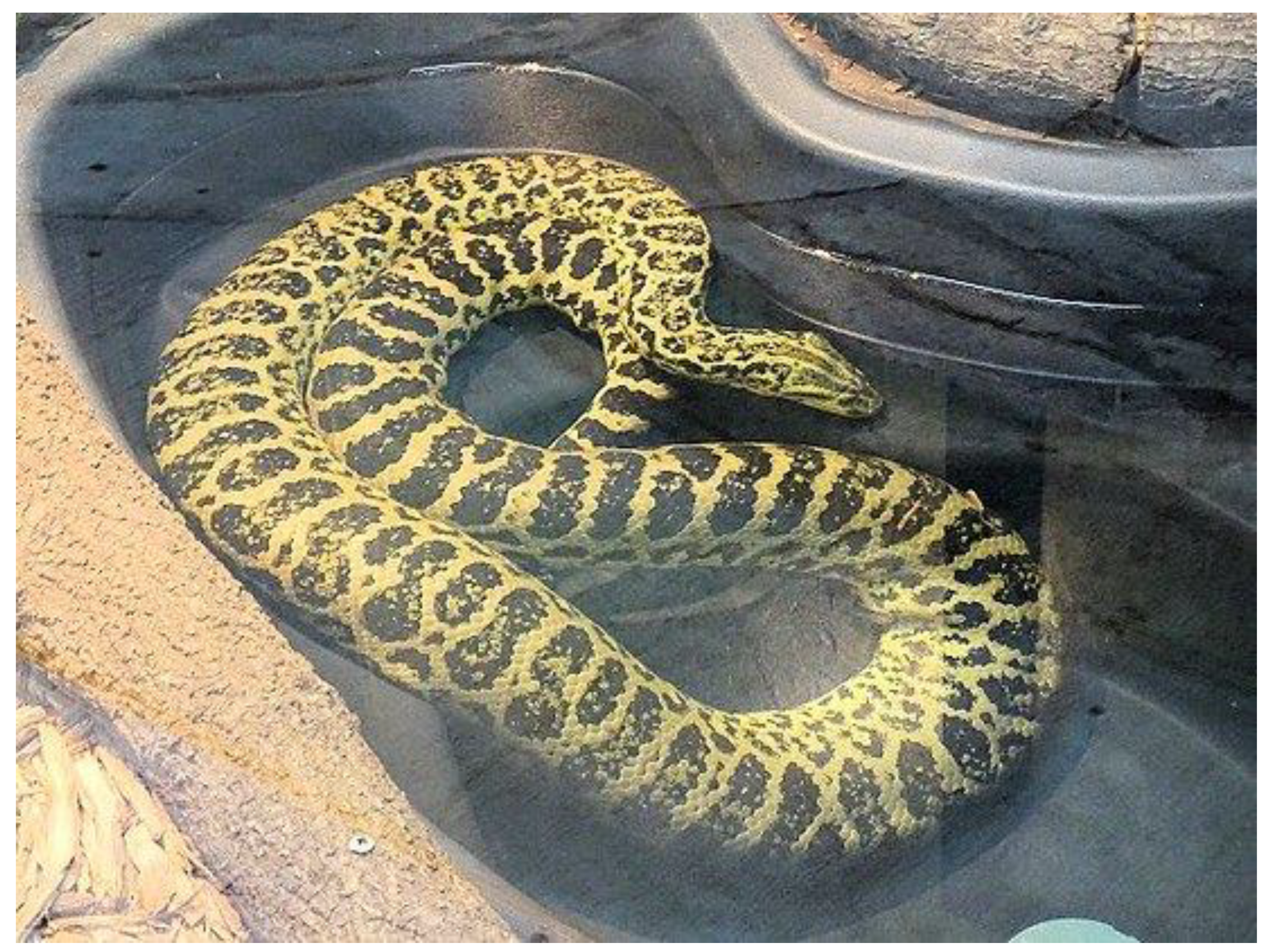 Preprints 137757 g002