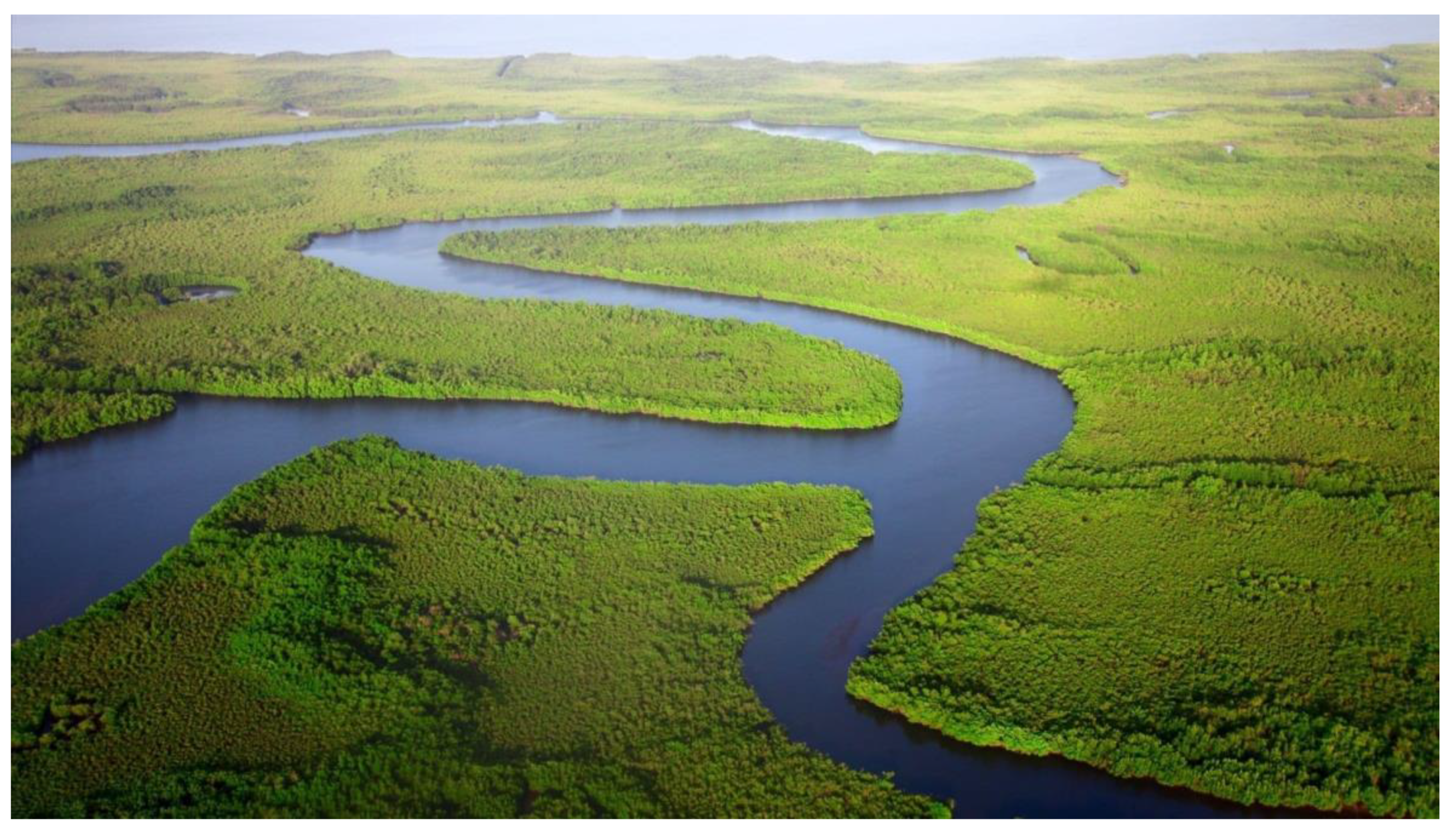 Preprints 137757 g003