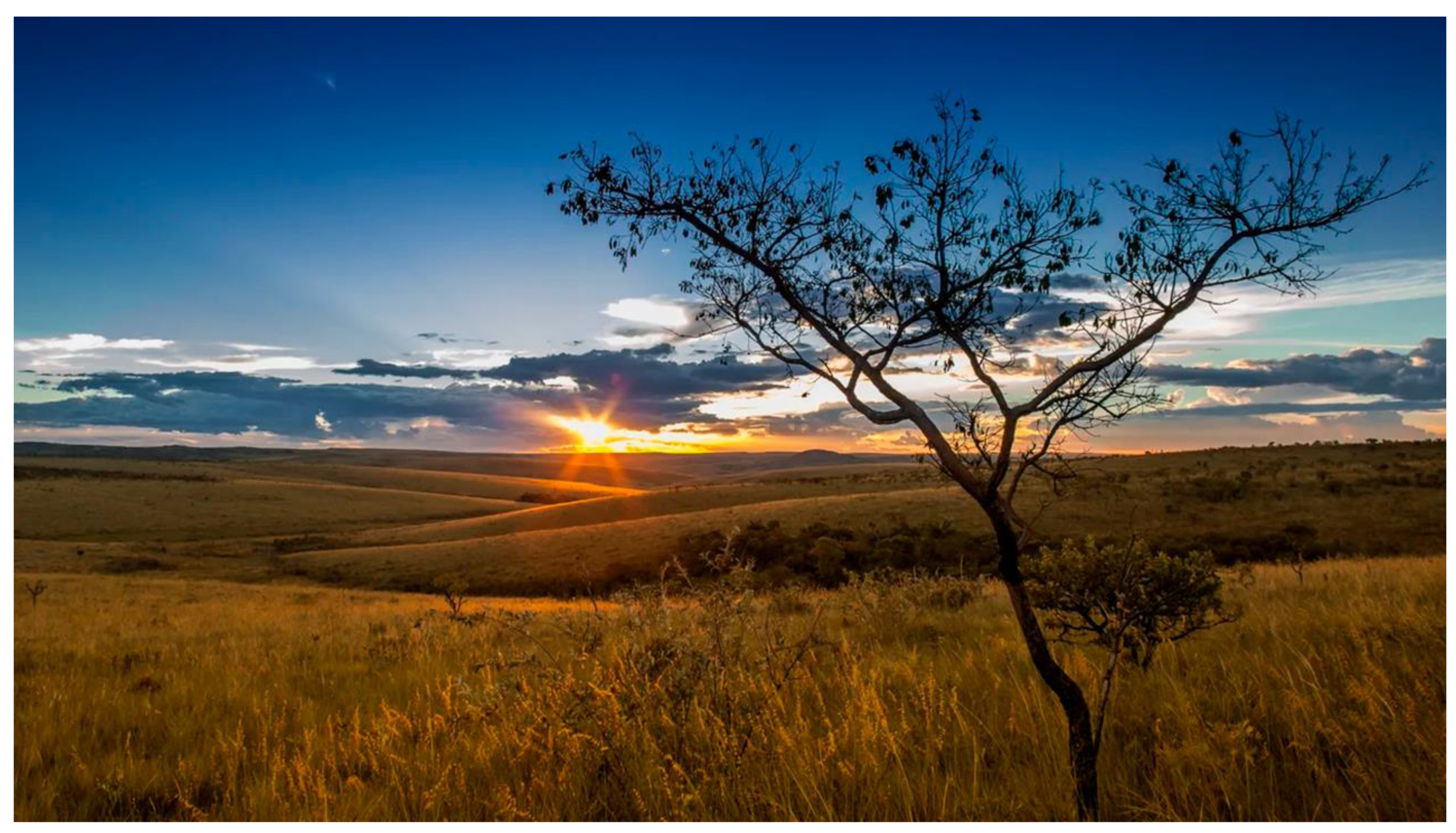 Preprints 137757 g004