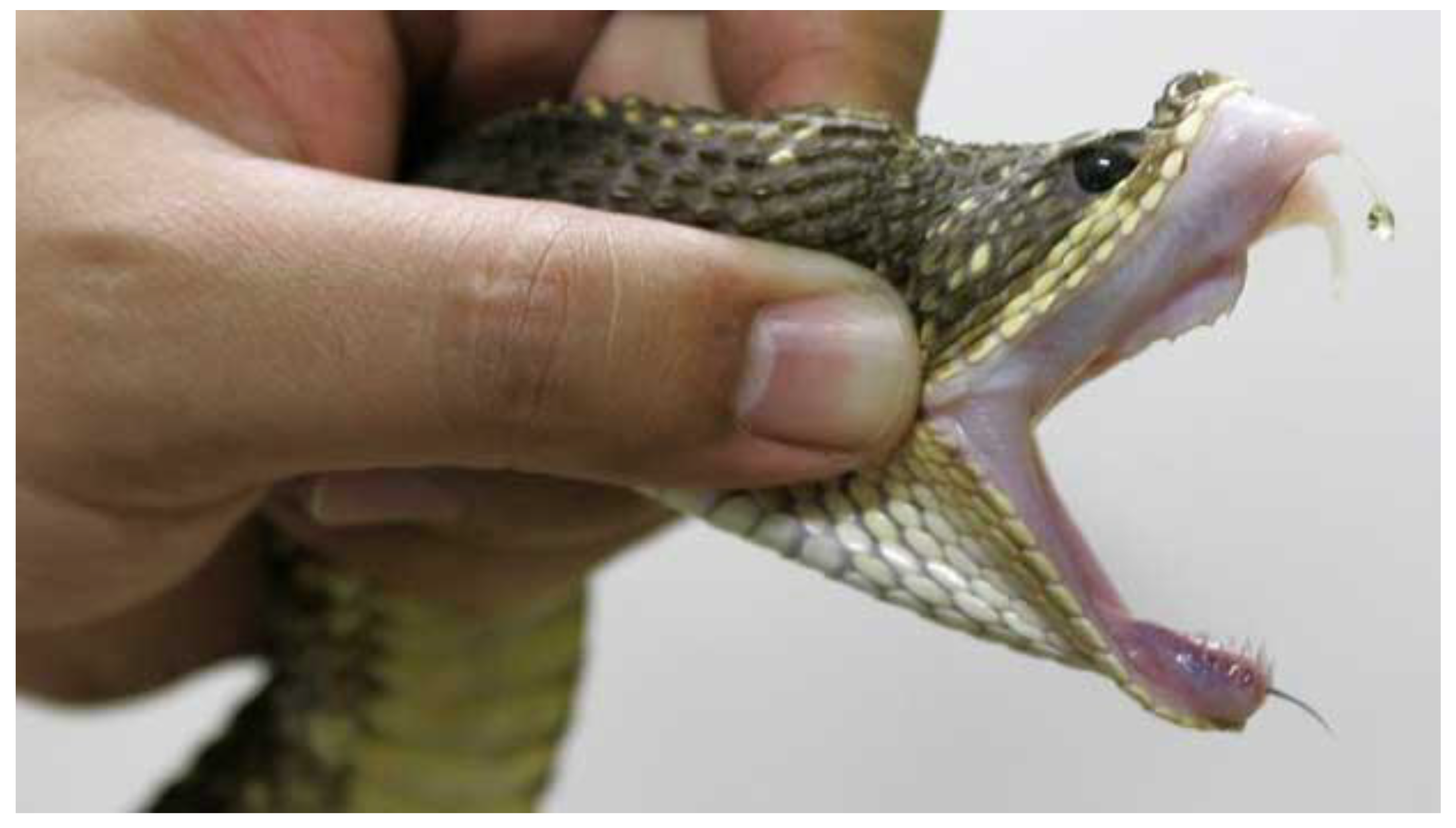 Preprints 137757 g005