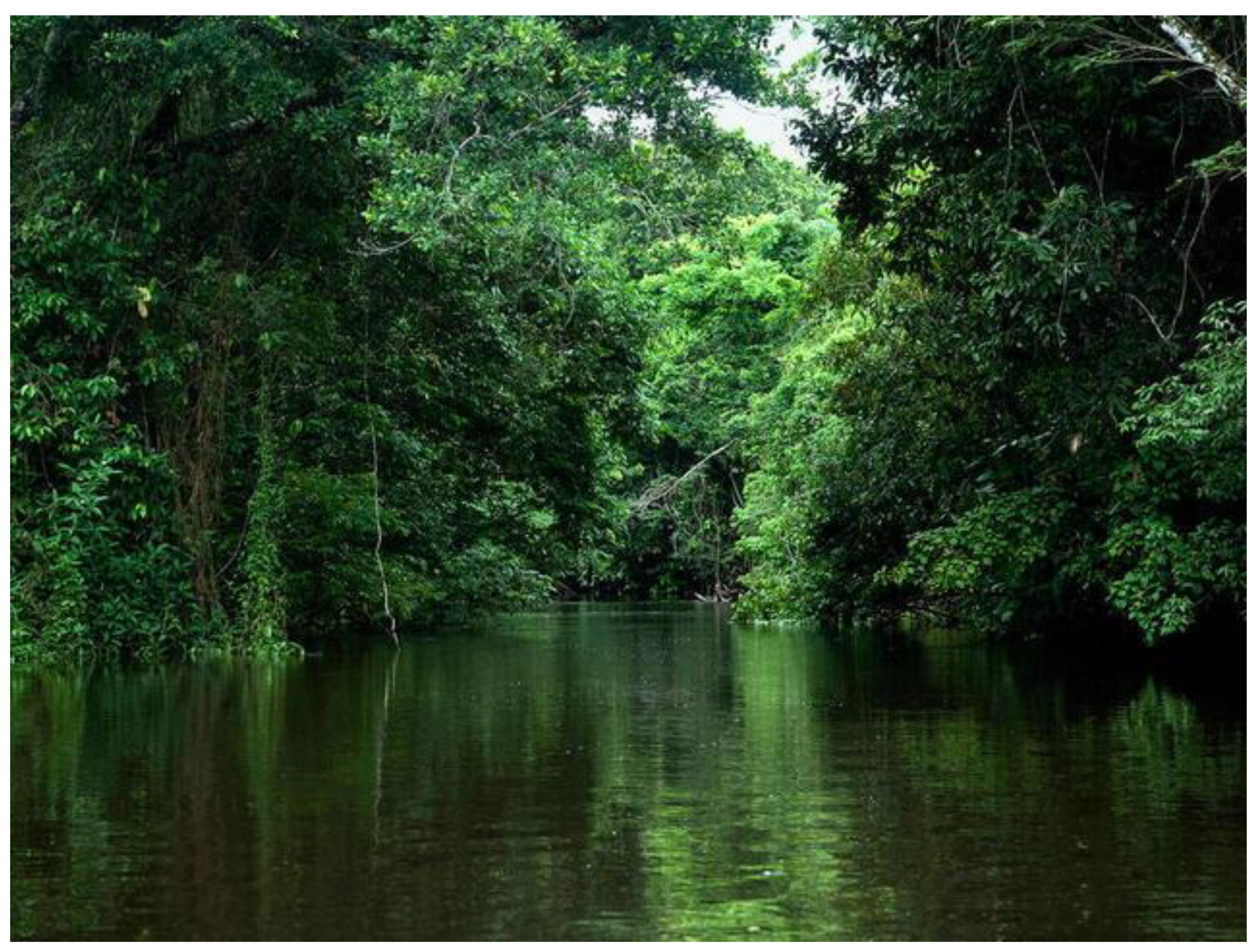 Preprints 137757 g006