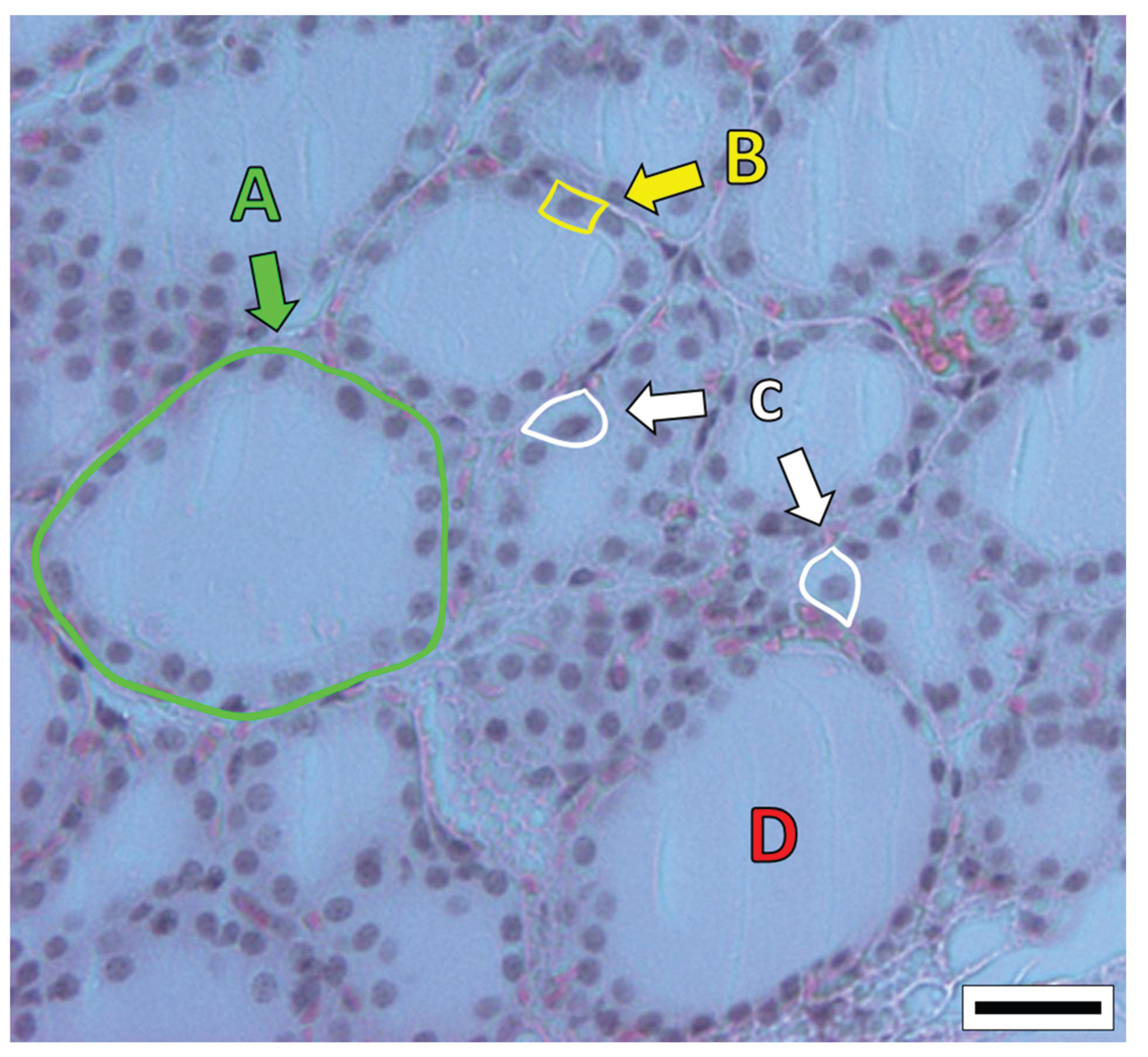Preprints 190257 g001