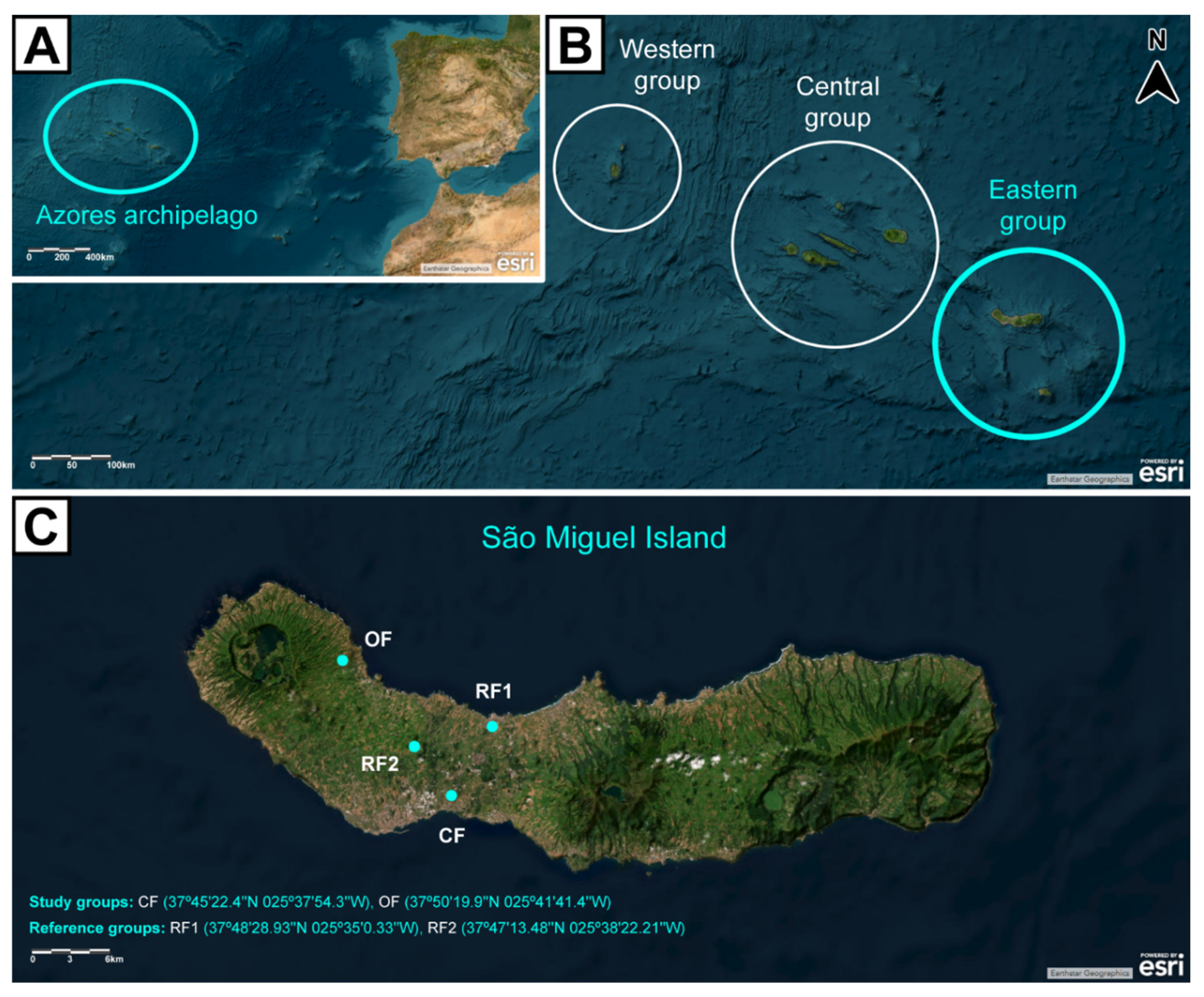 Preprints 190257 g002