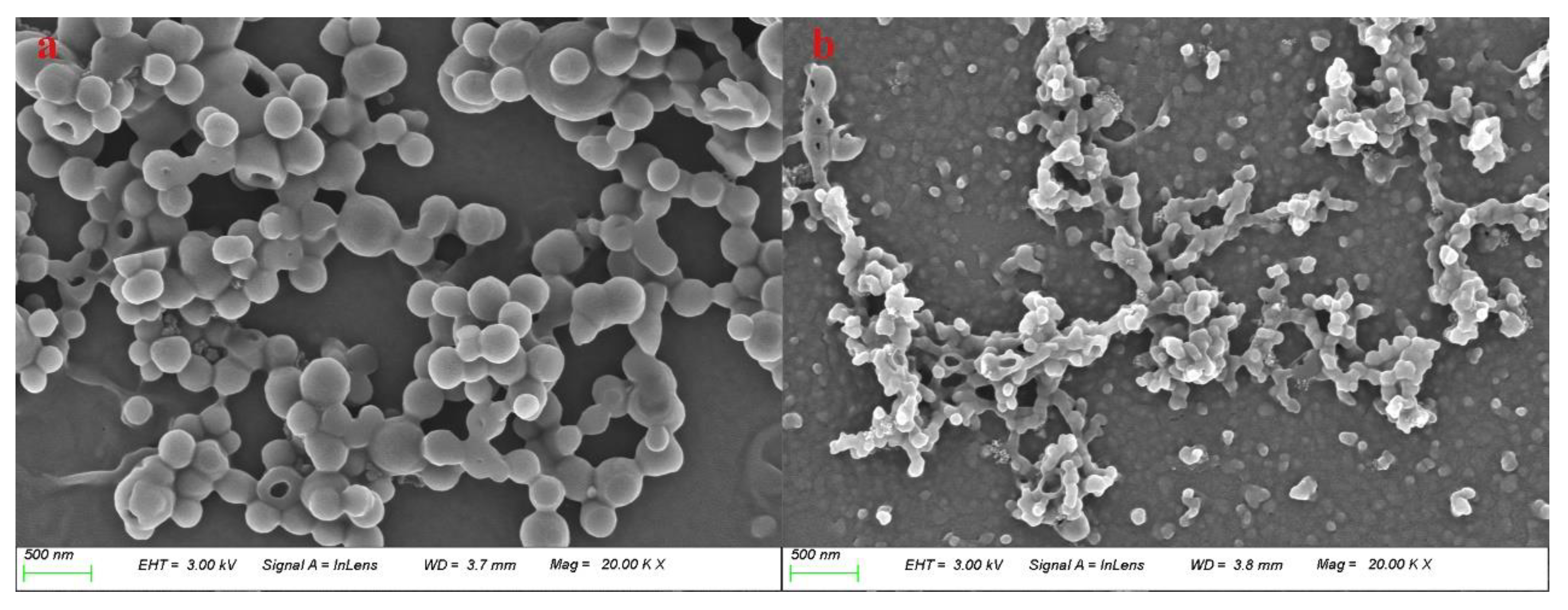 Preprints 103749 g001