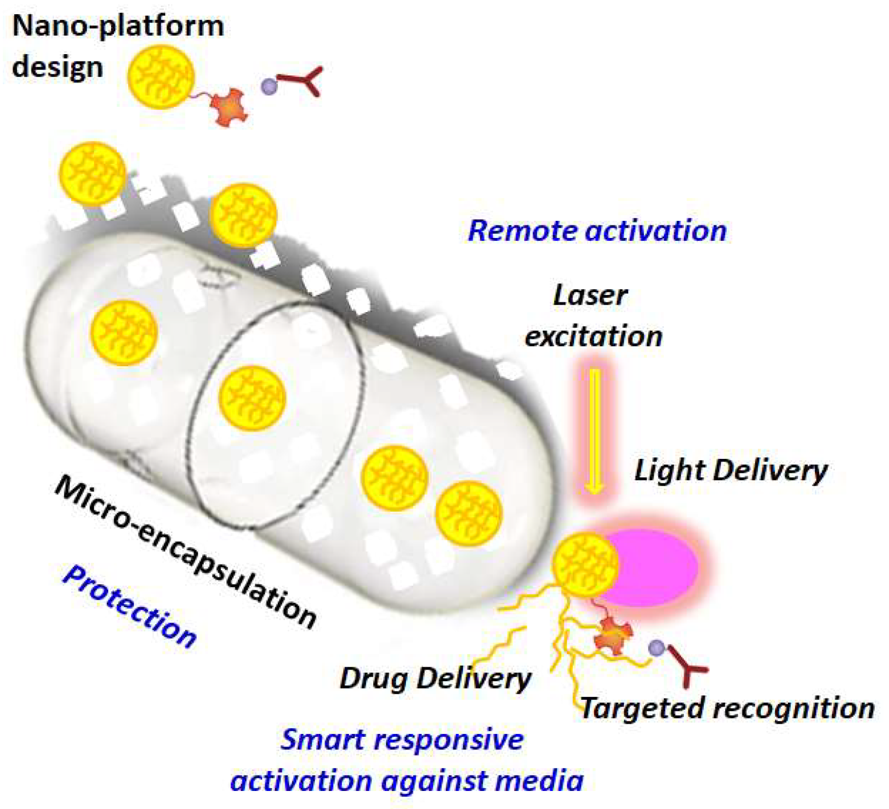 Preprints 82385 g002