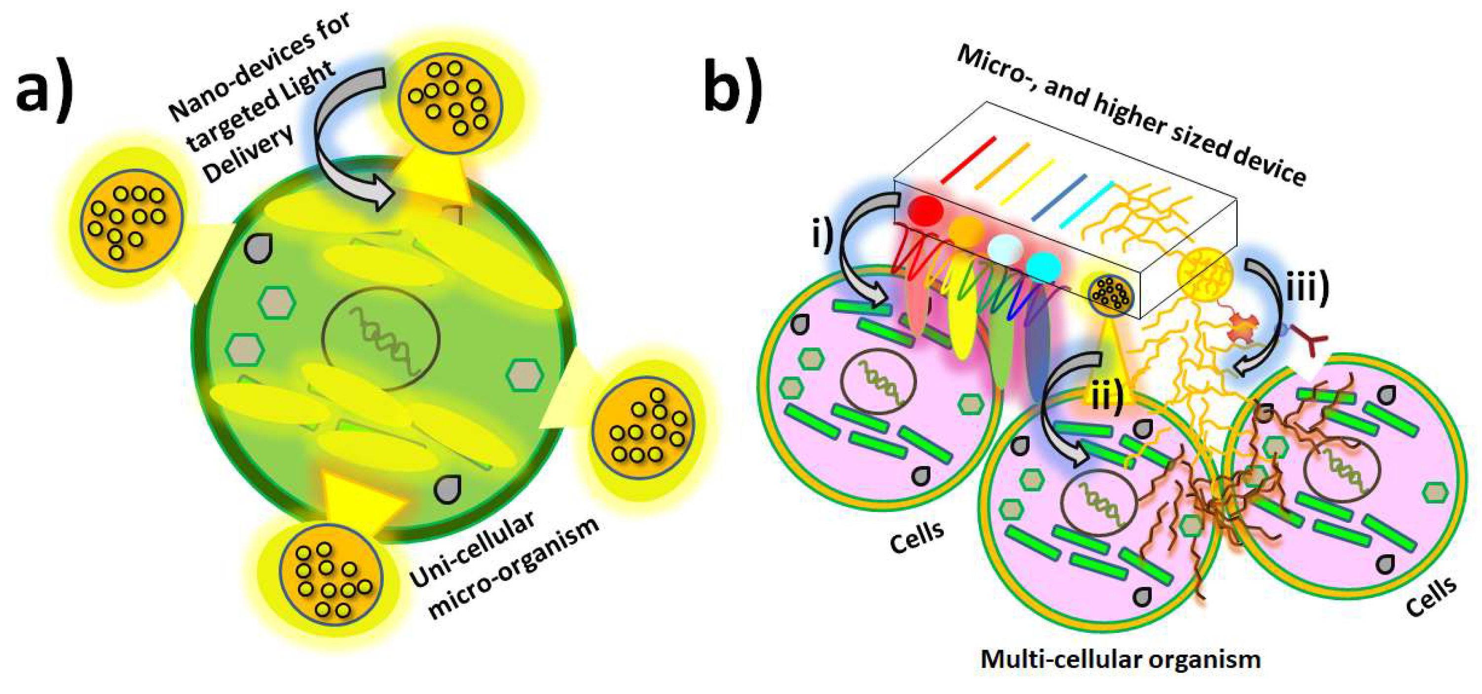 Preprints 82385 g003