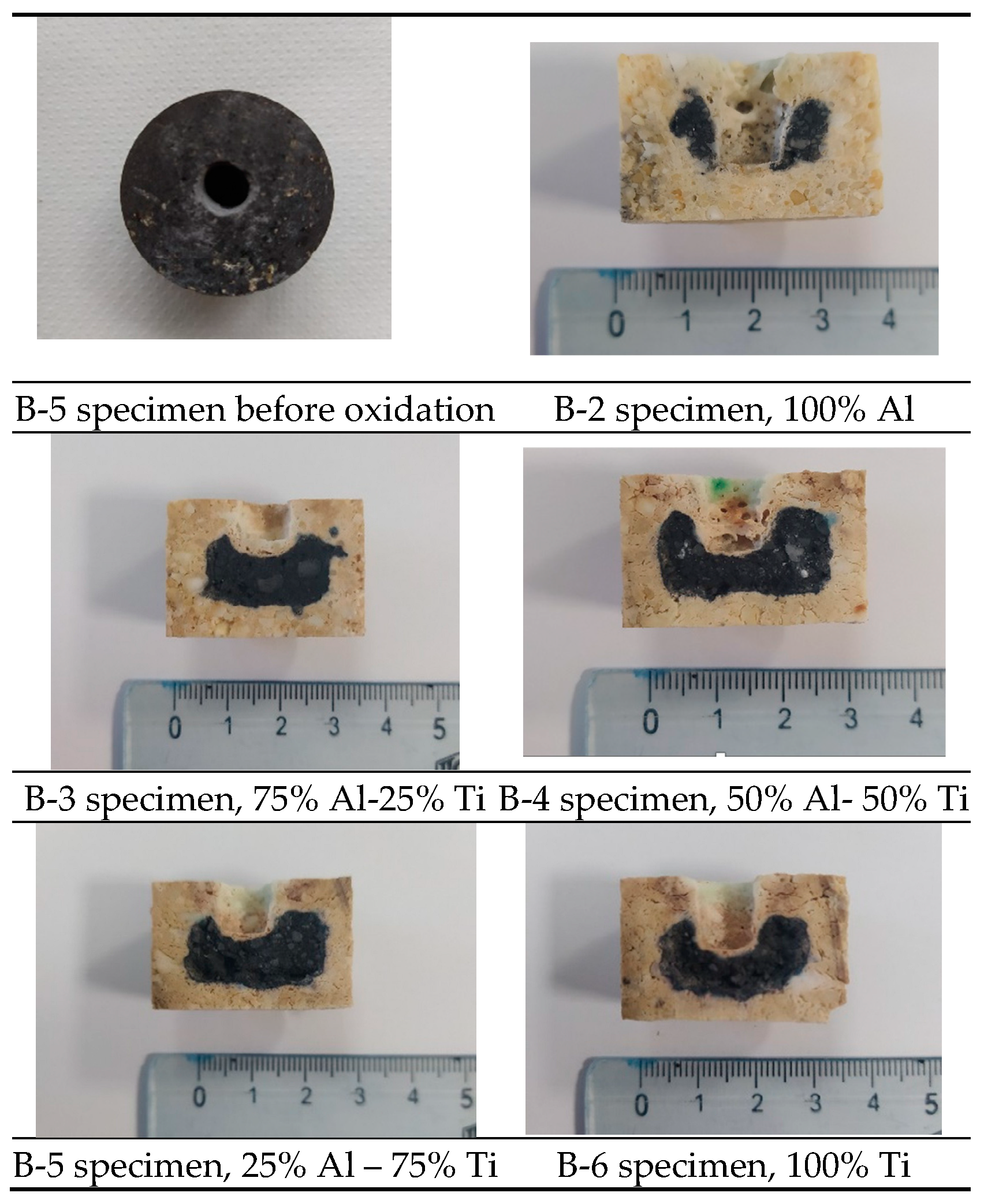 Preprints 158883 g007