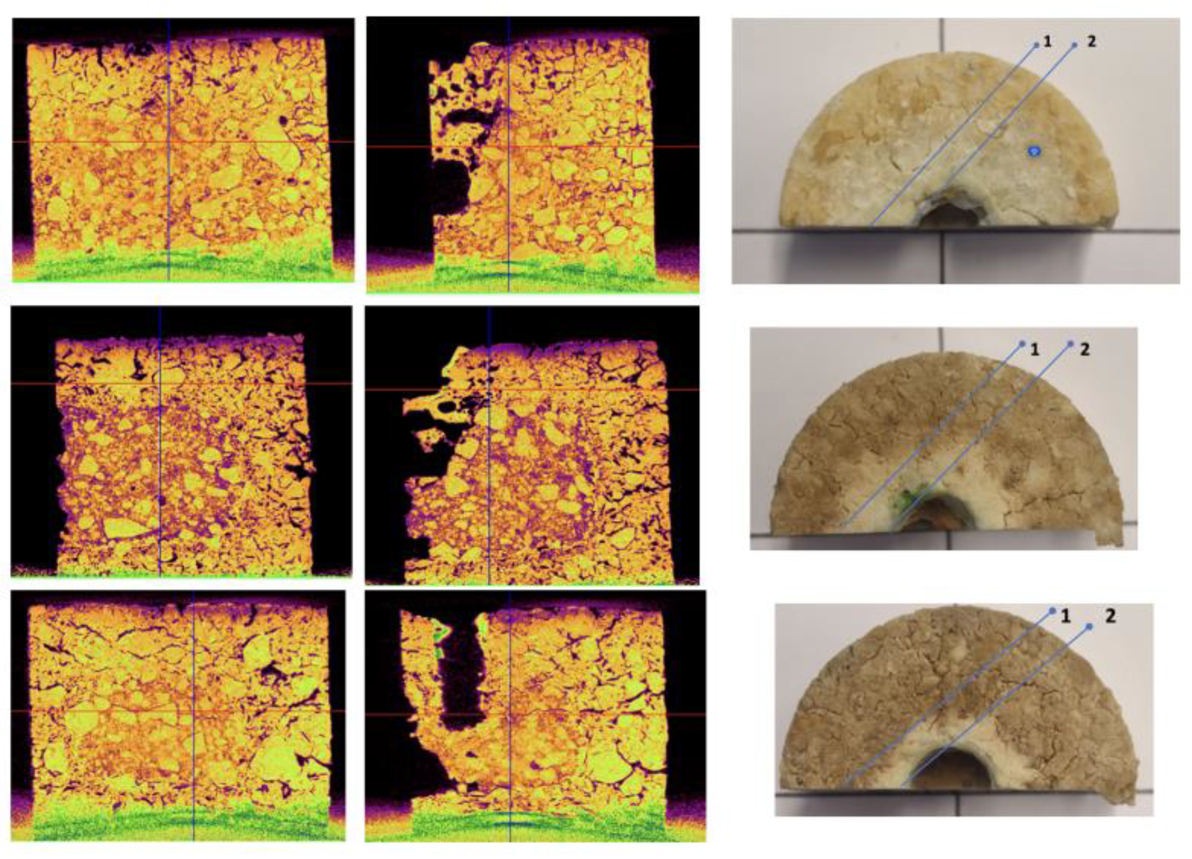 Preprints 158883 g009