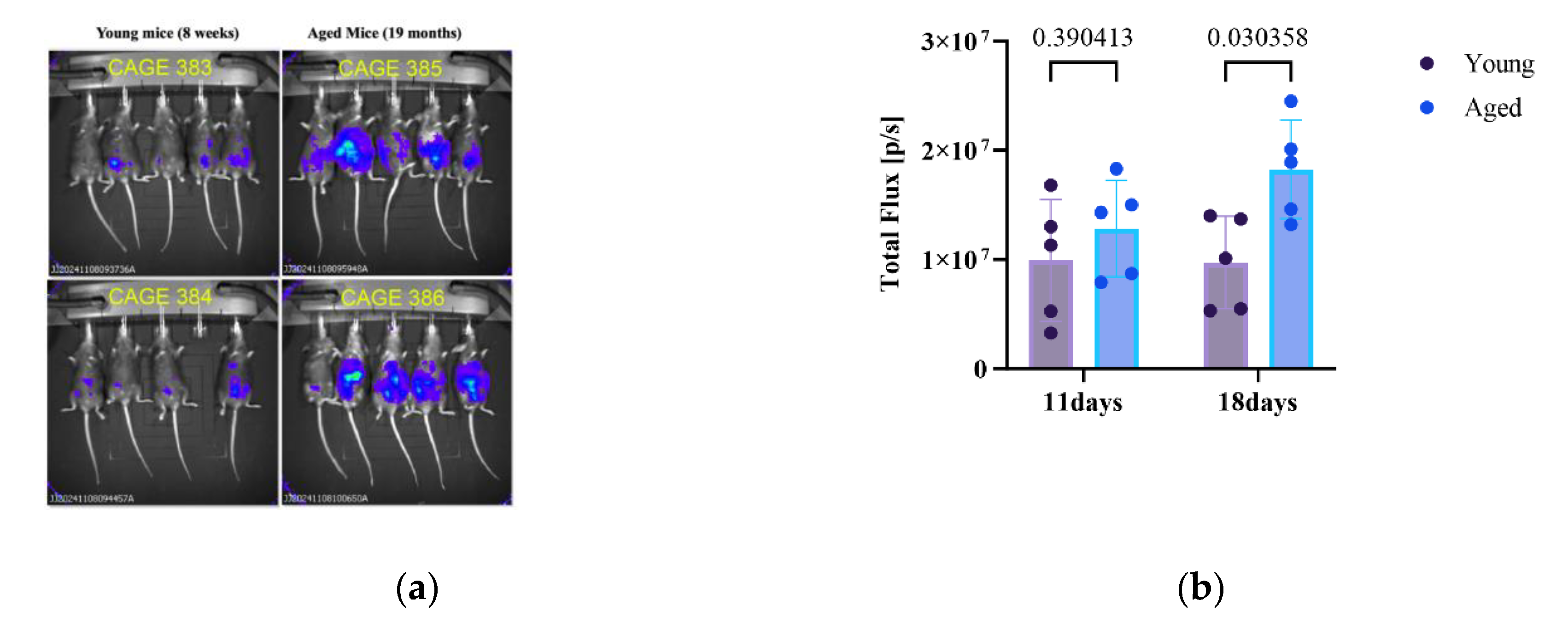 Preprints 198258 g001