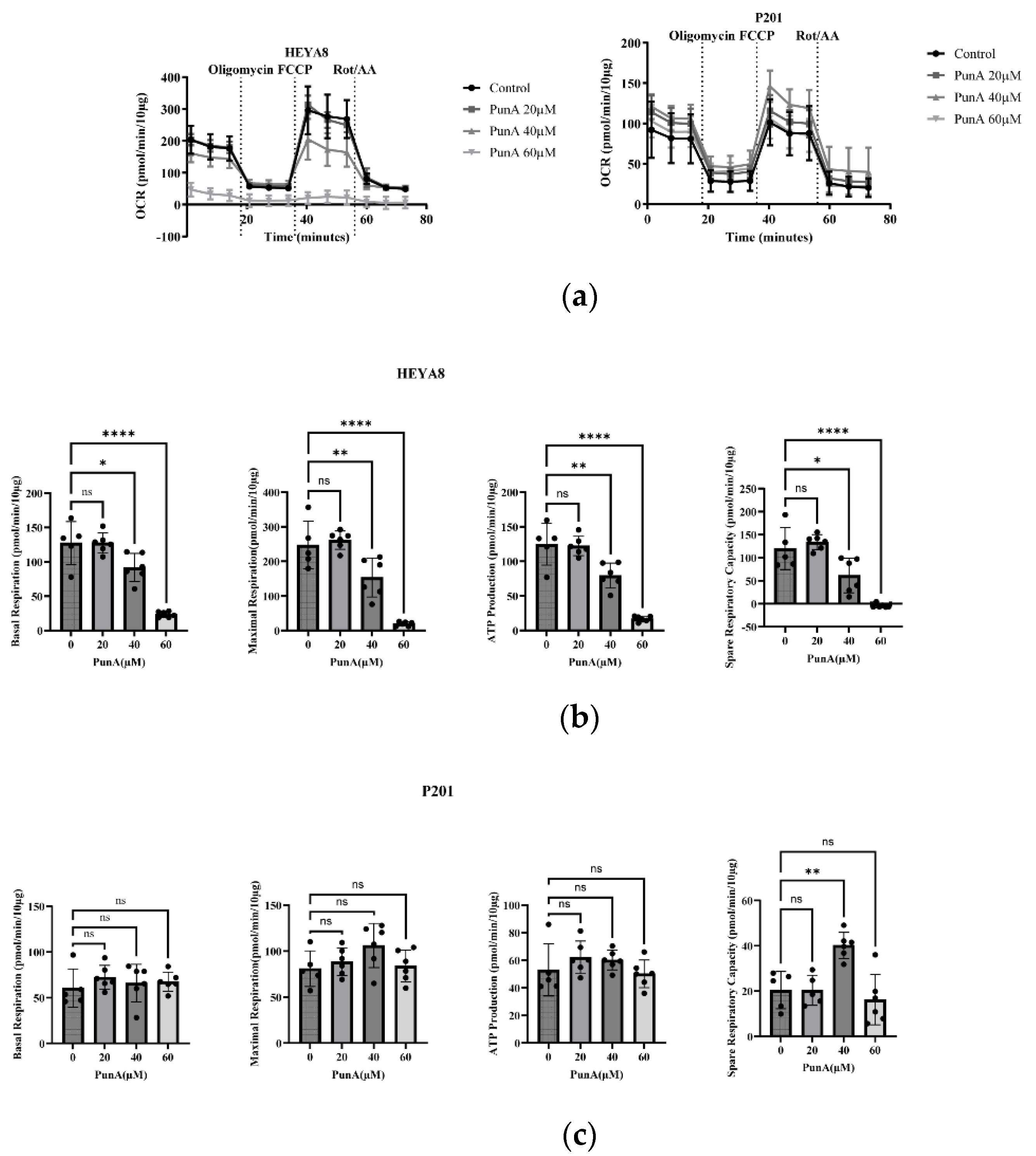 Preprints 198258 g007