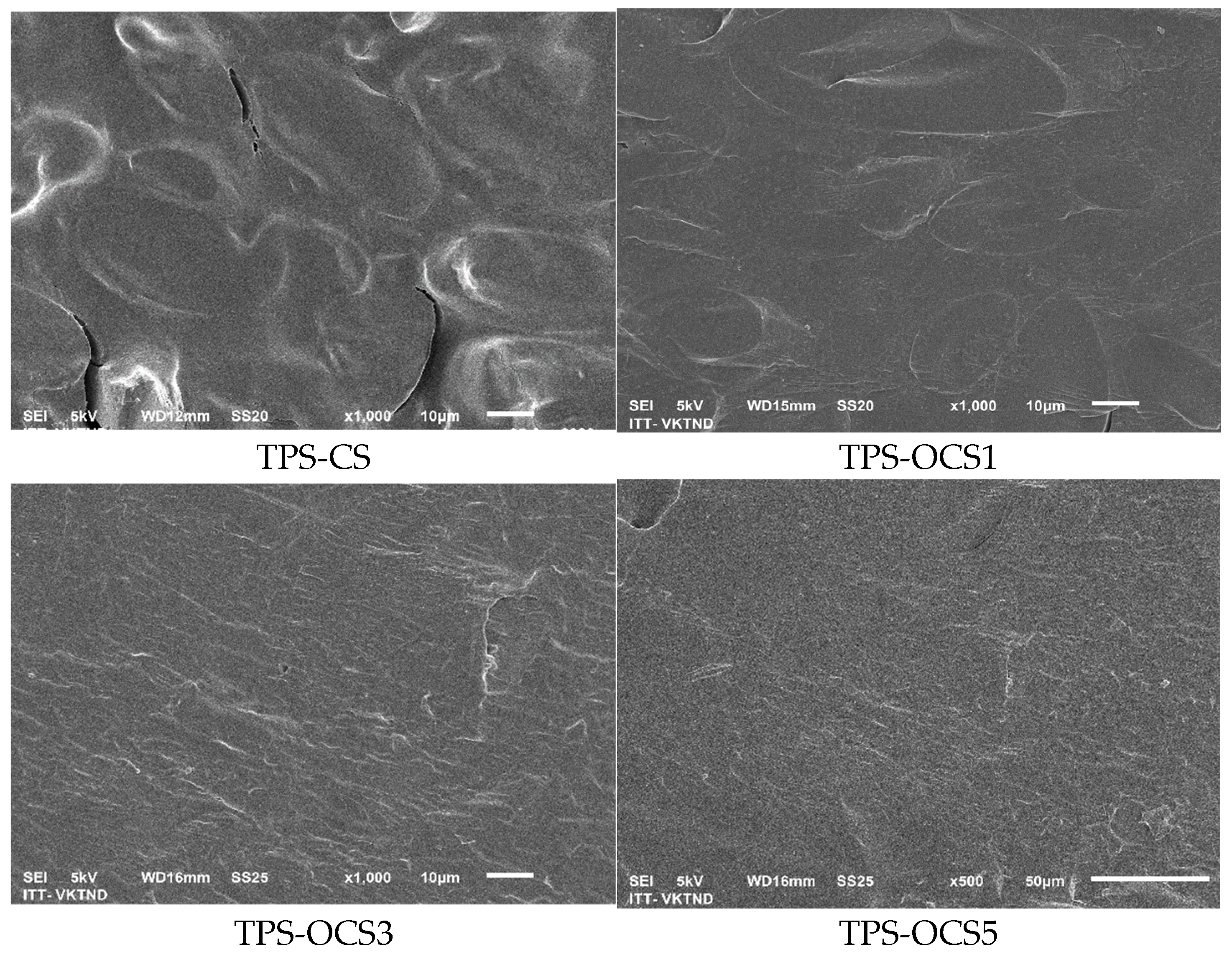 Preprints 74561 g005