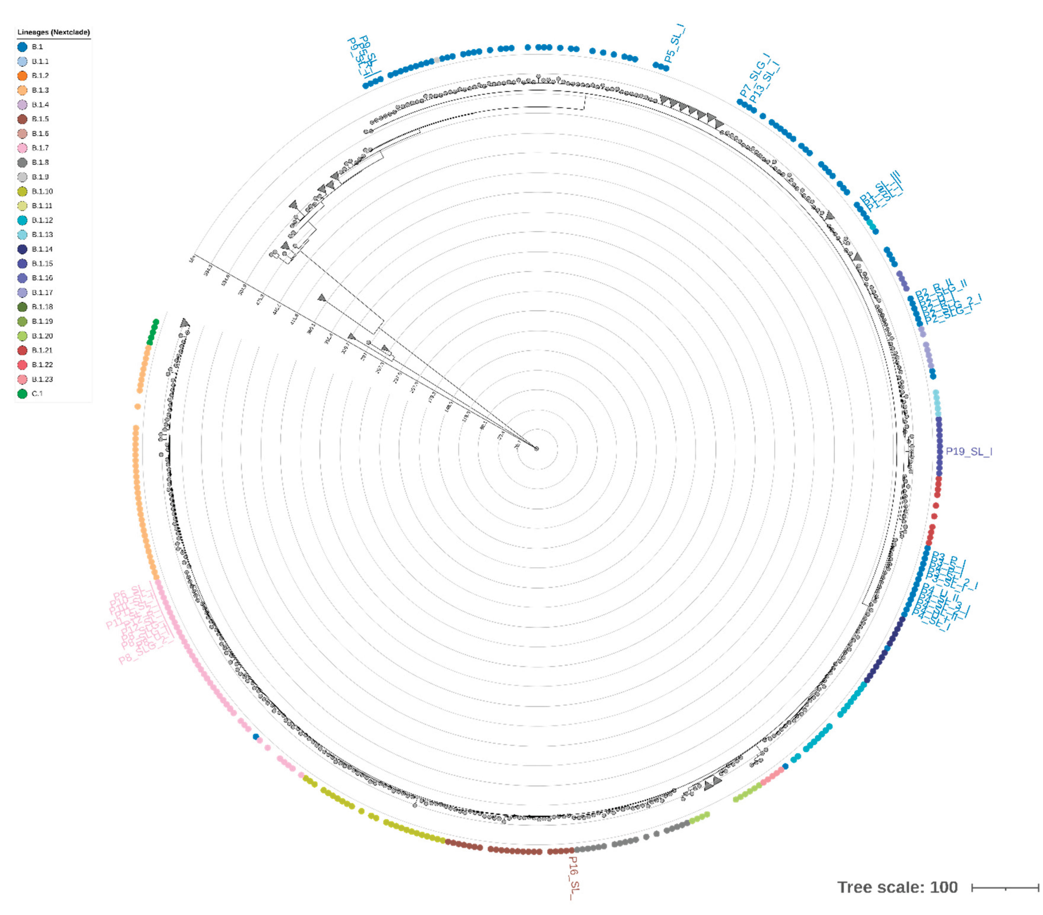 Preprints 189064 g004
